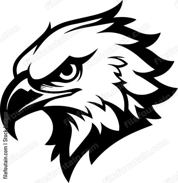 Angry Hawk