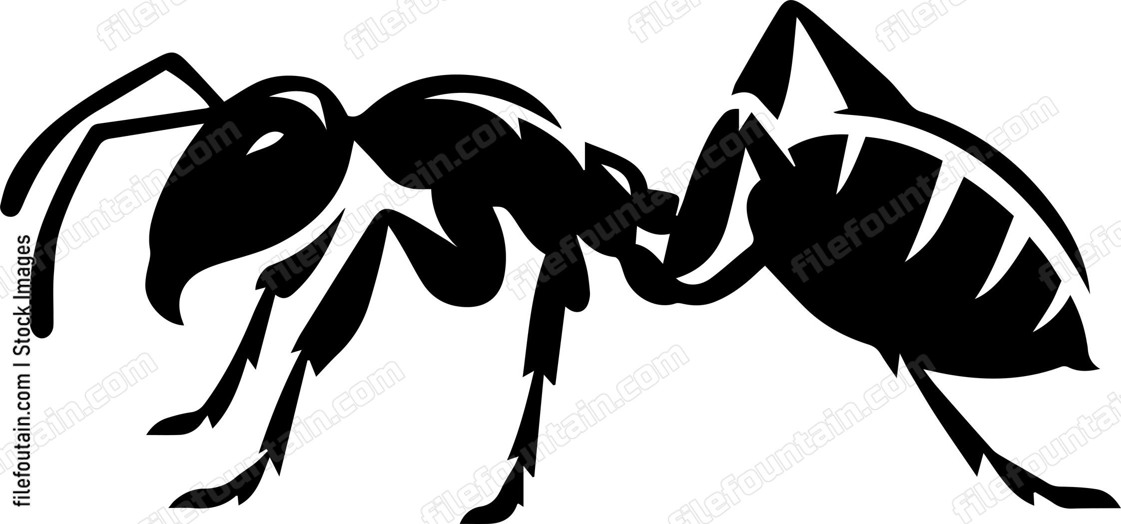 Ant
