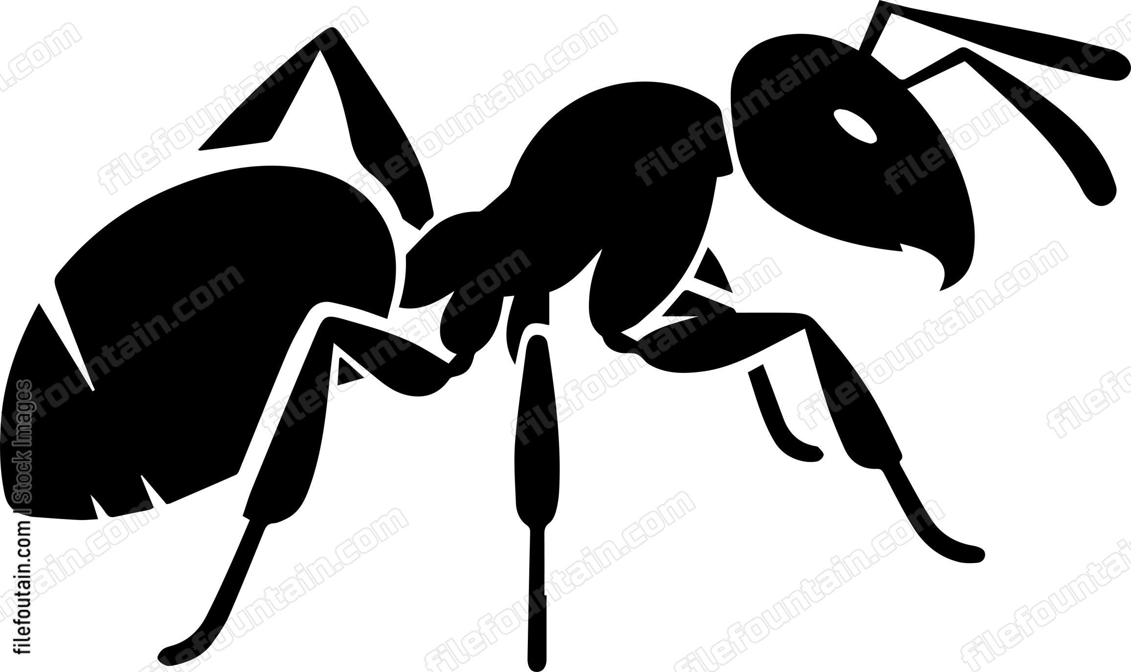Ant