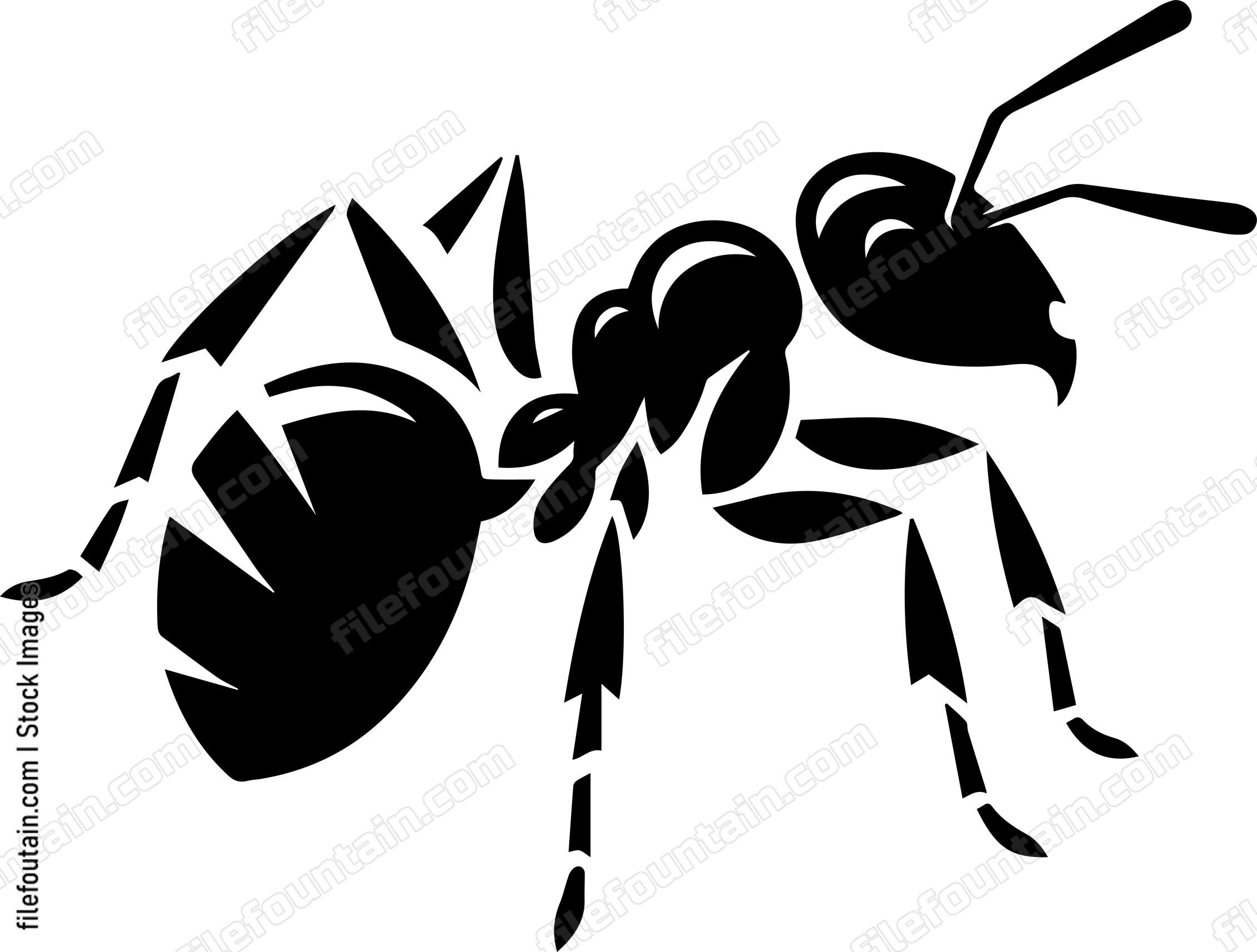 Ant