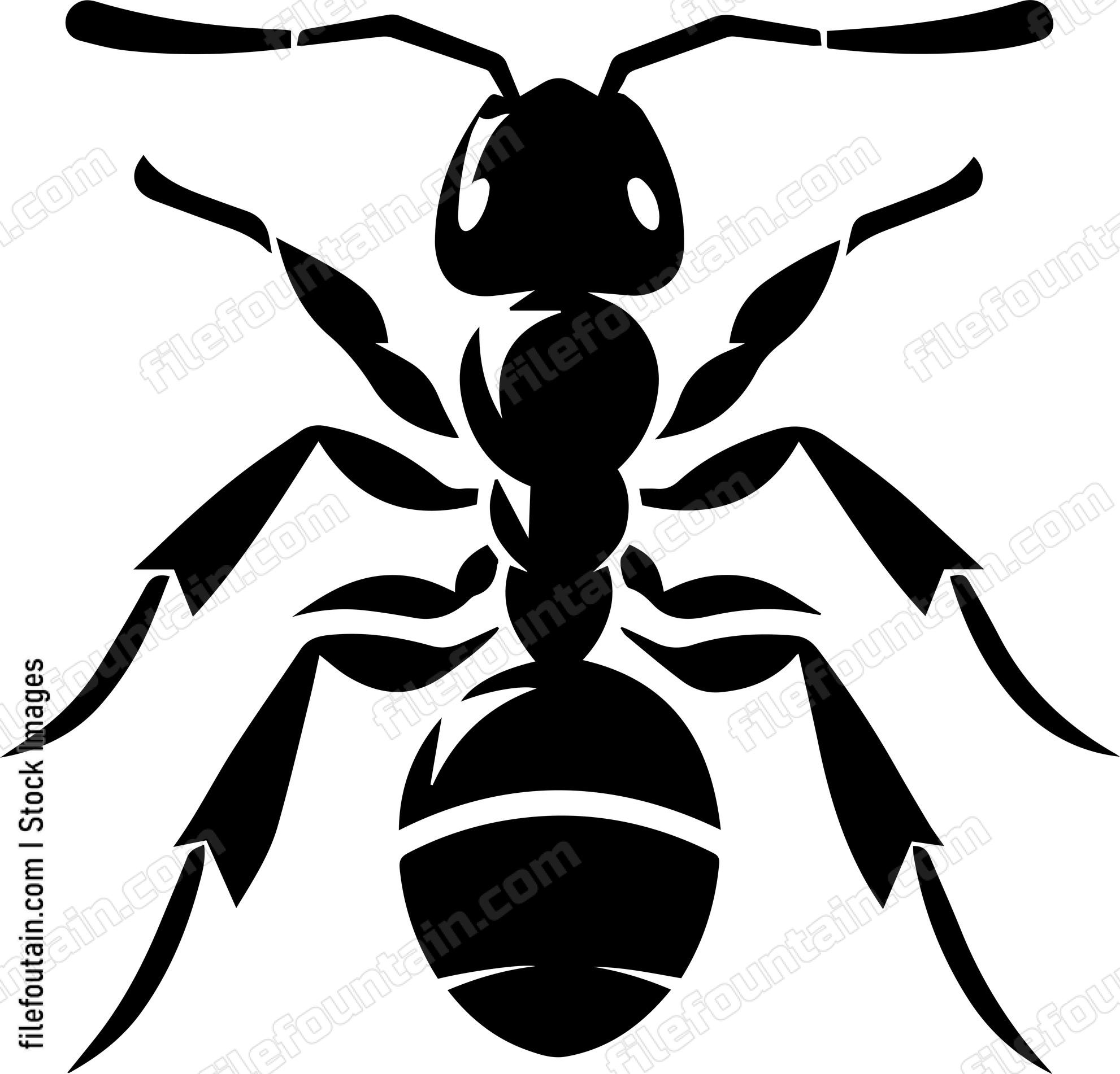 Ant