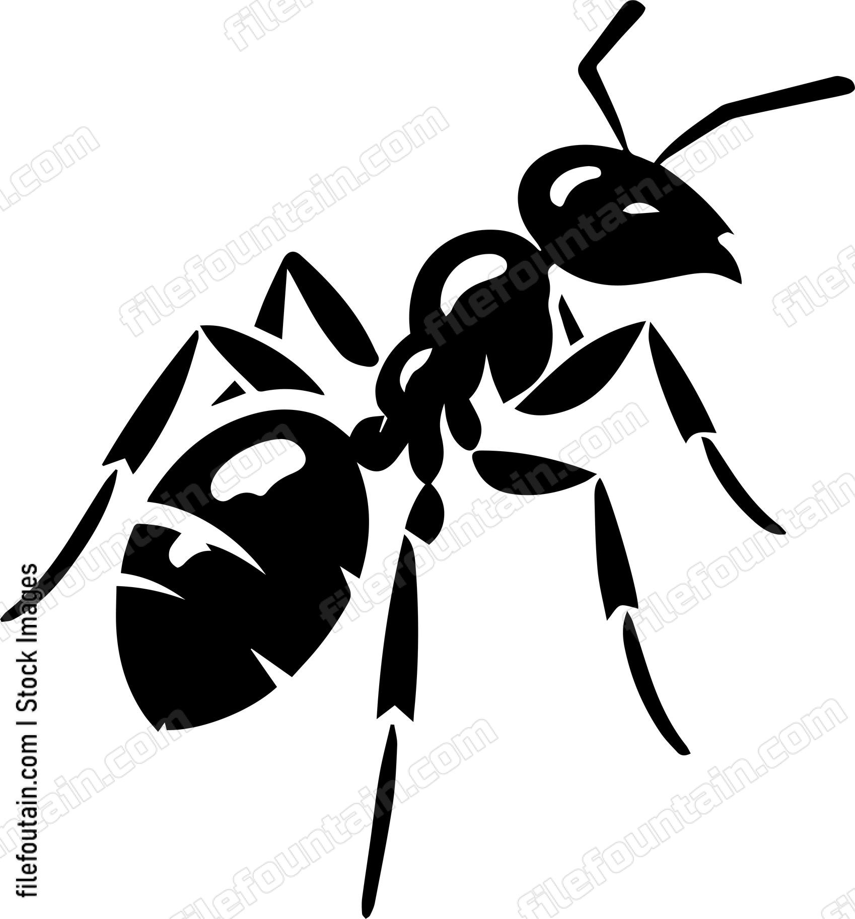 Ant