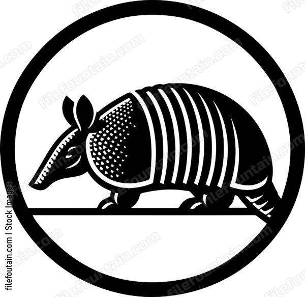 Armadillo