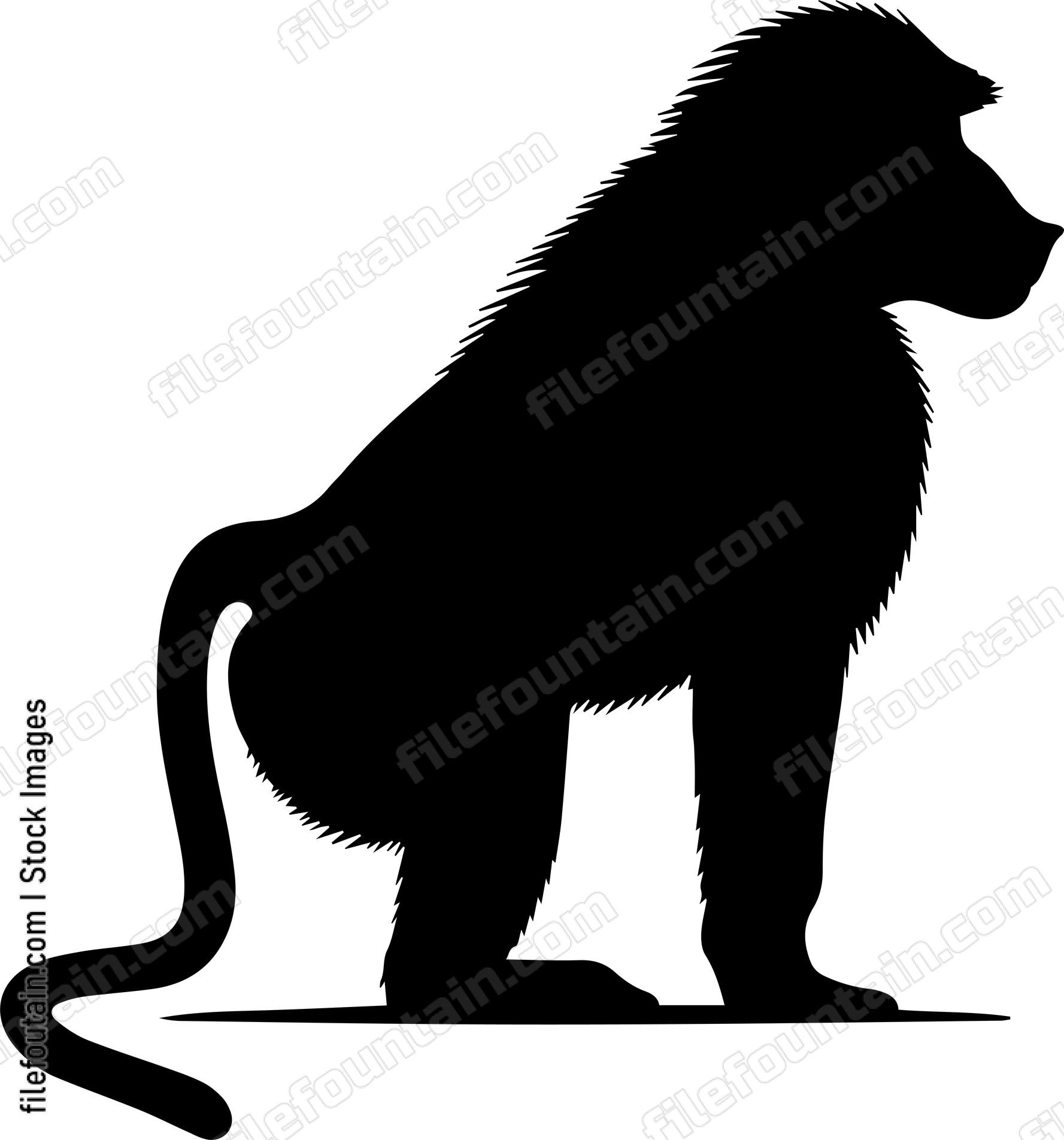 Baboon