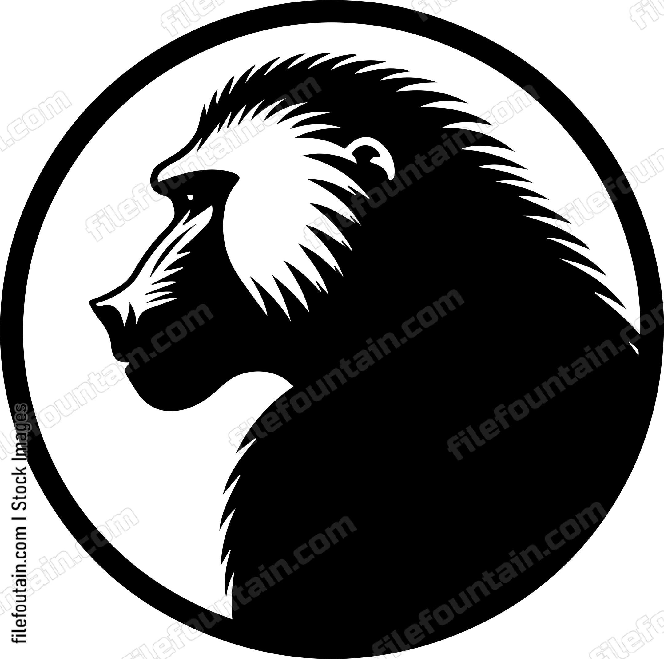 Baboon