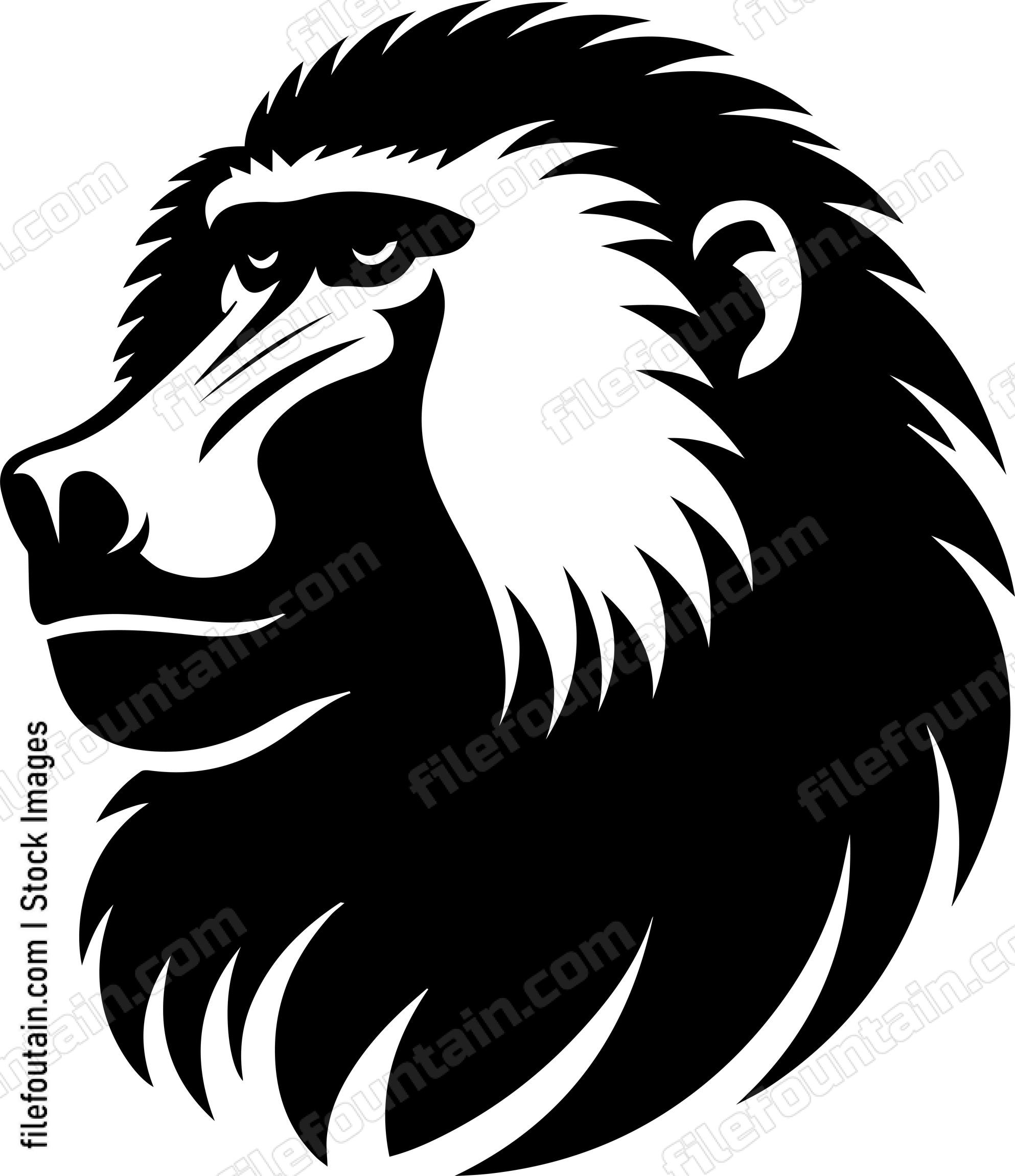Baboon