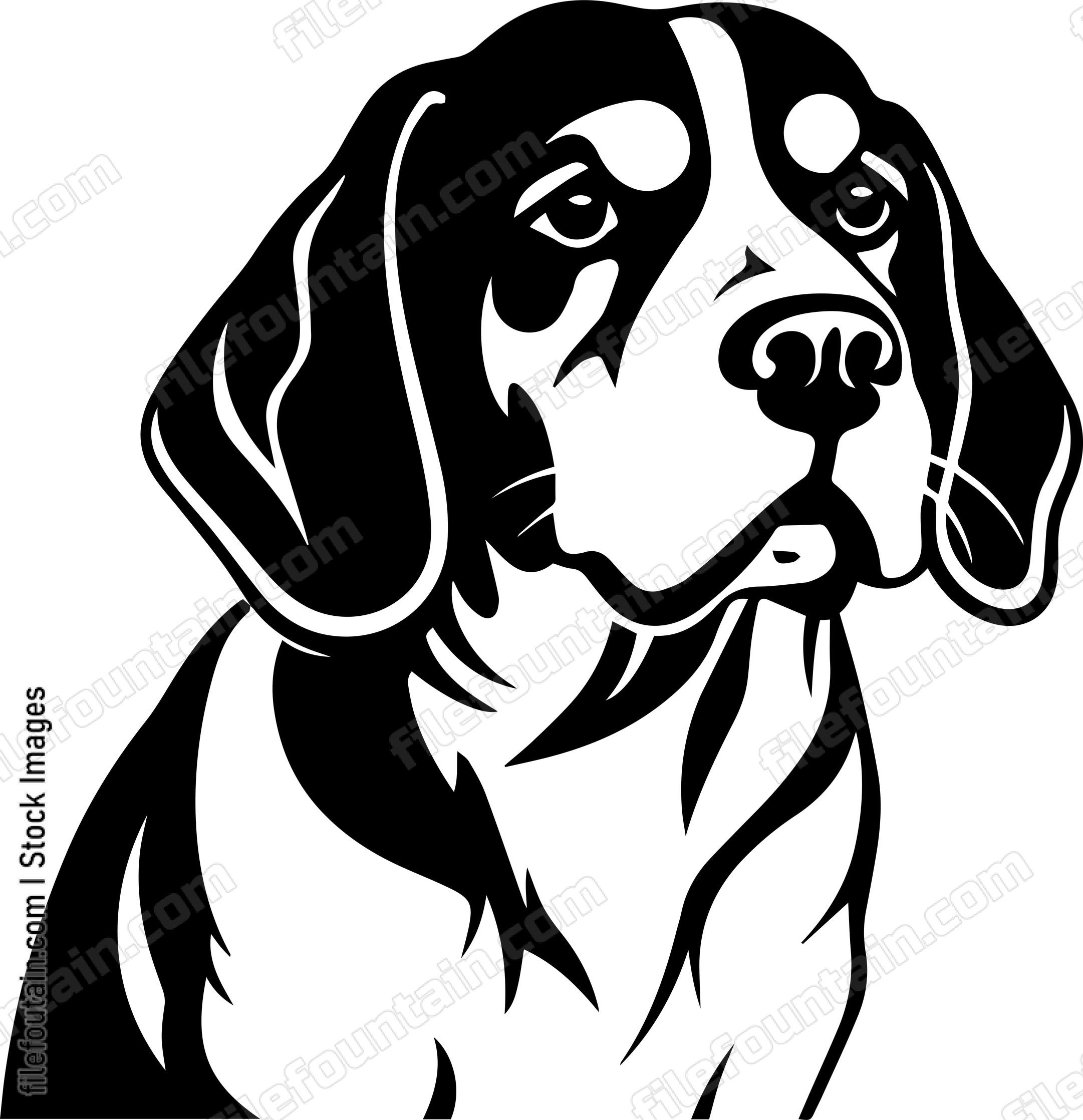 Beagle