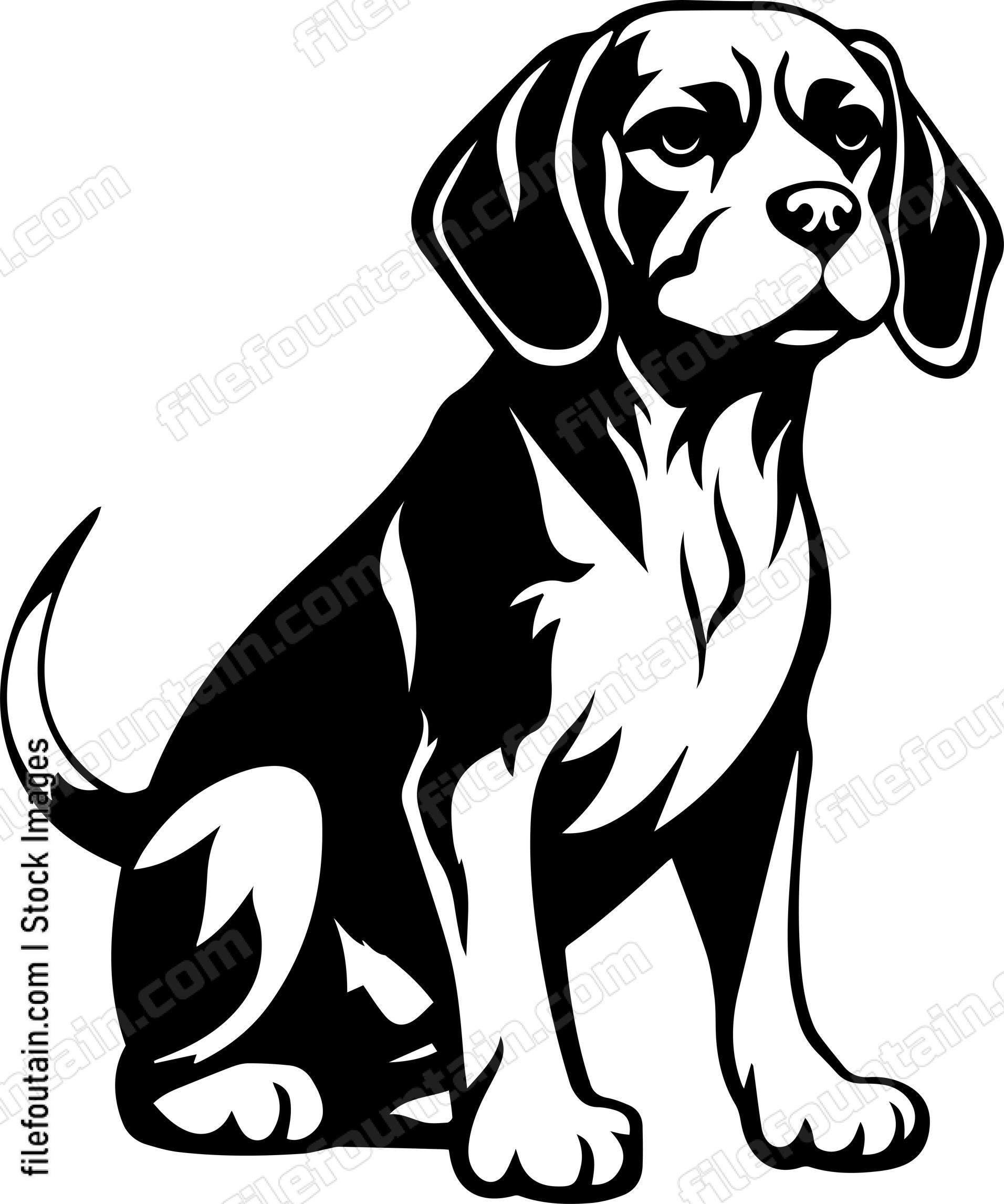 Beagle
