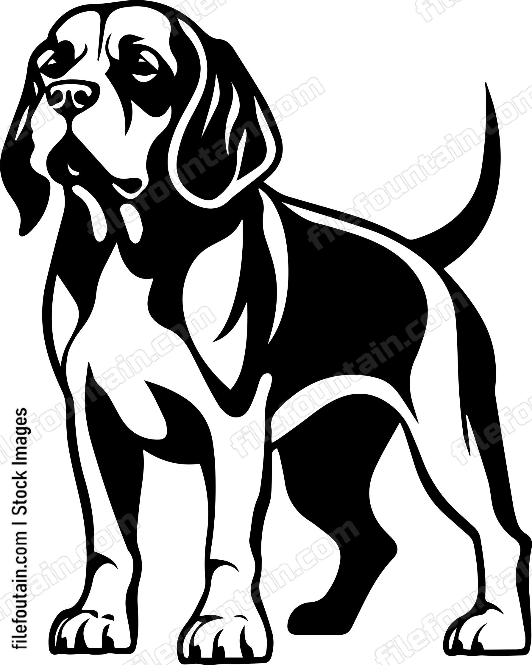 Beagle
