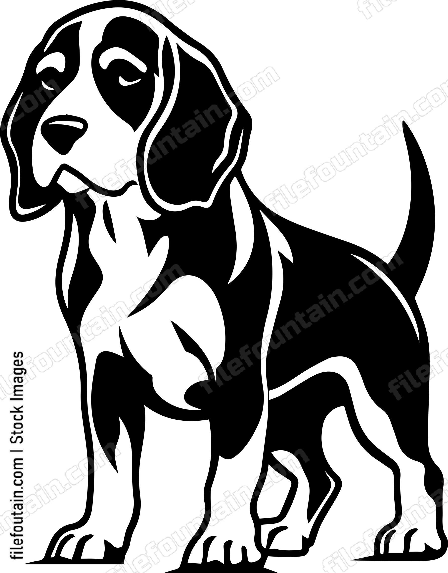Beagle