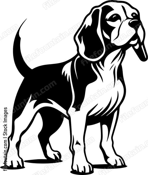 Beagle