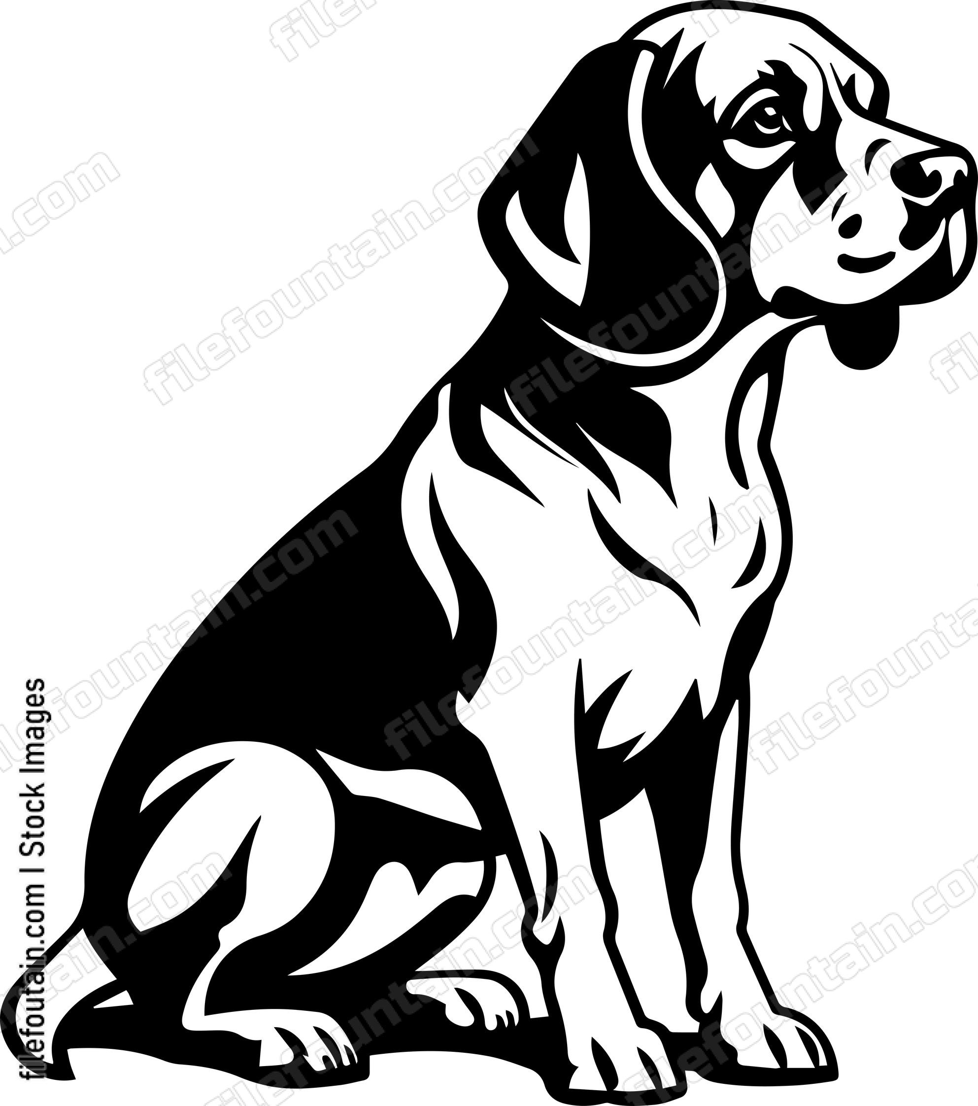 Beagle