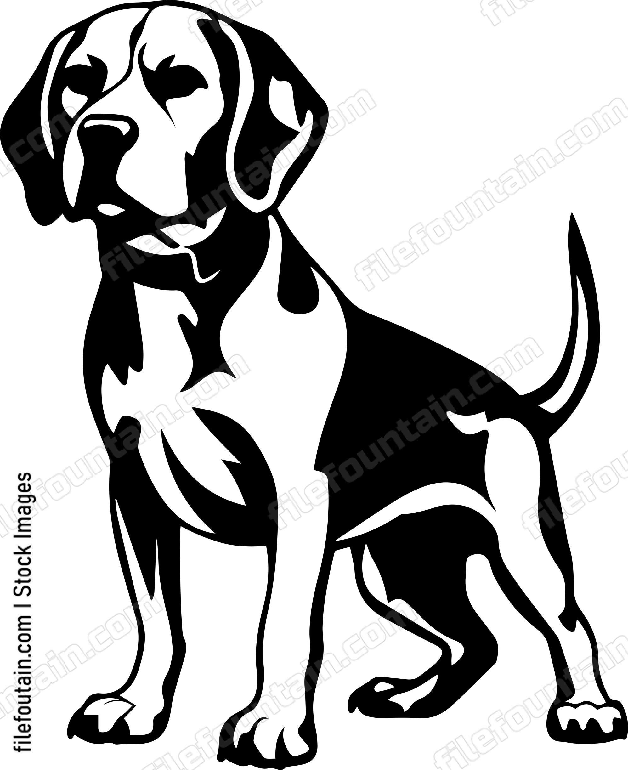 Beagle