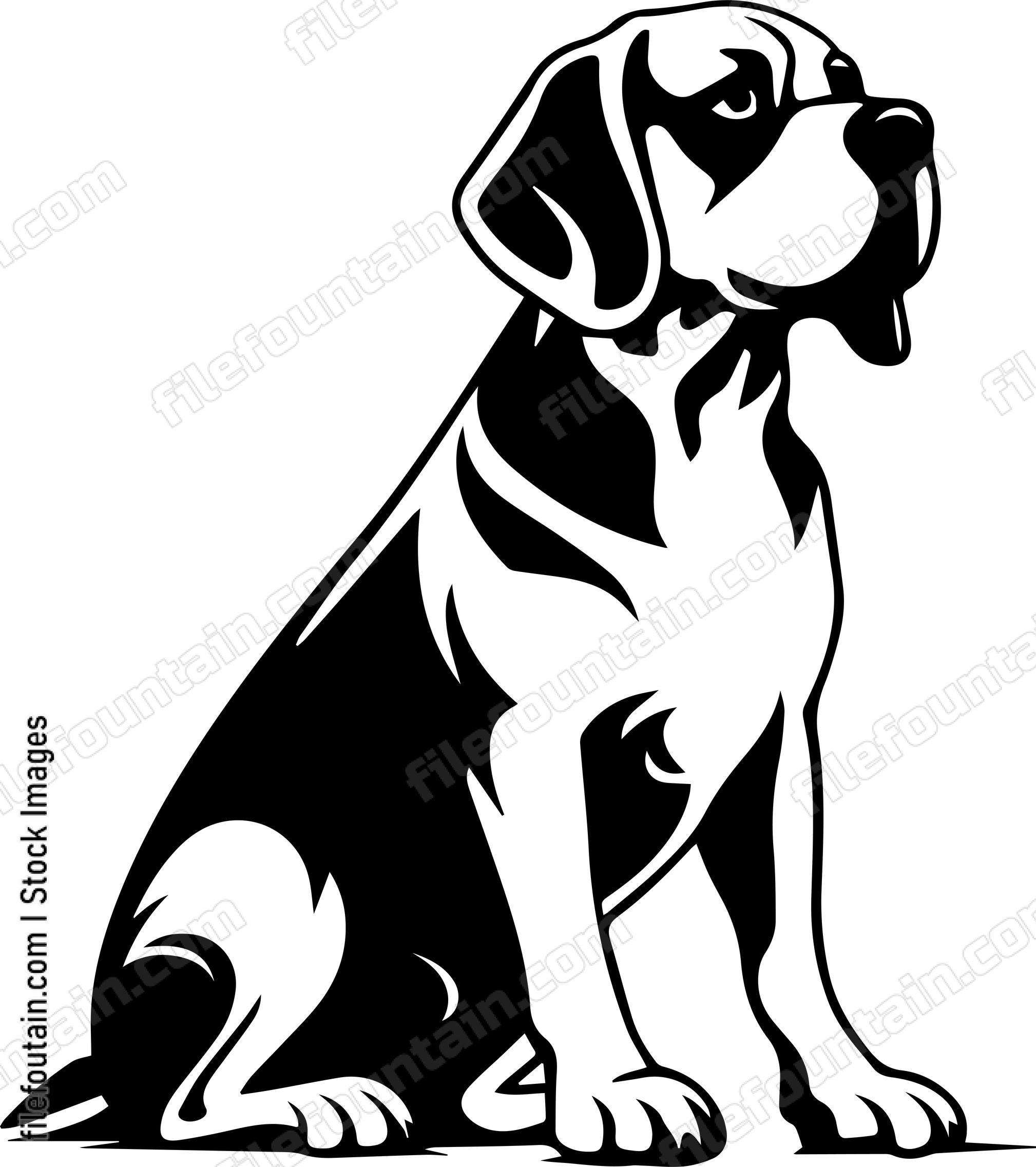 Beagle