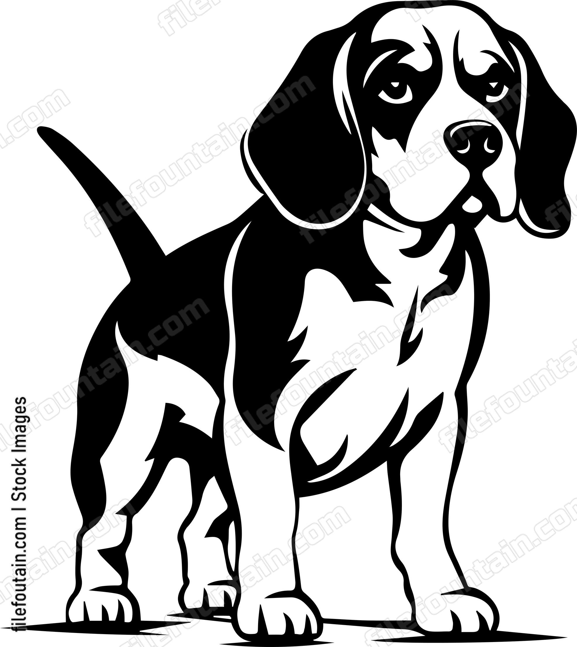 Beagle