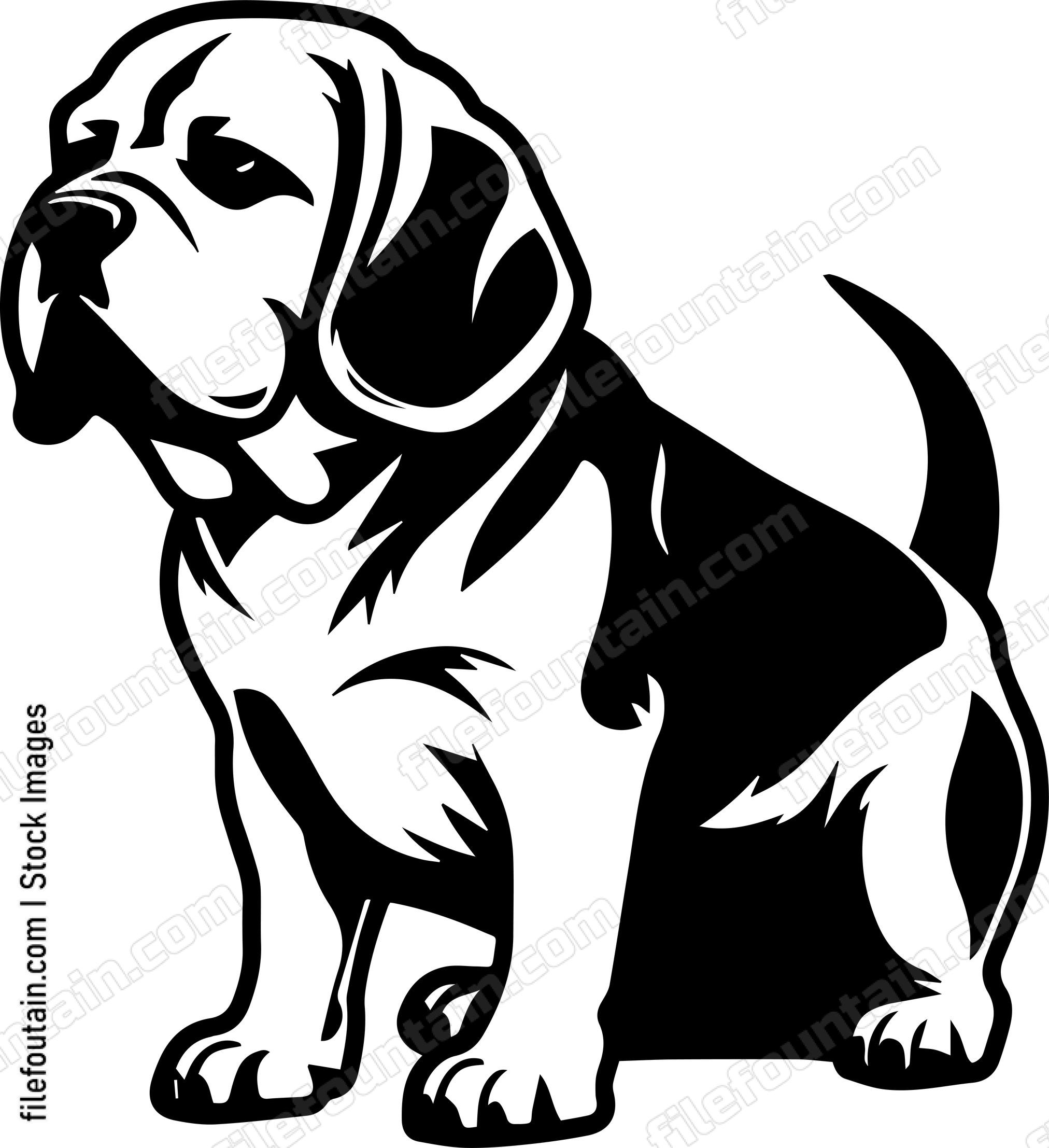 Beagle