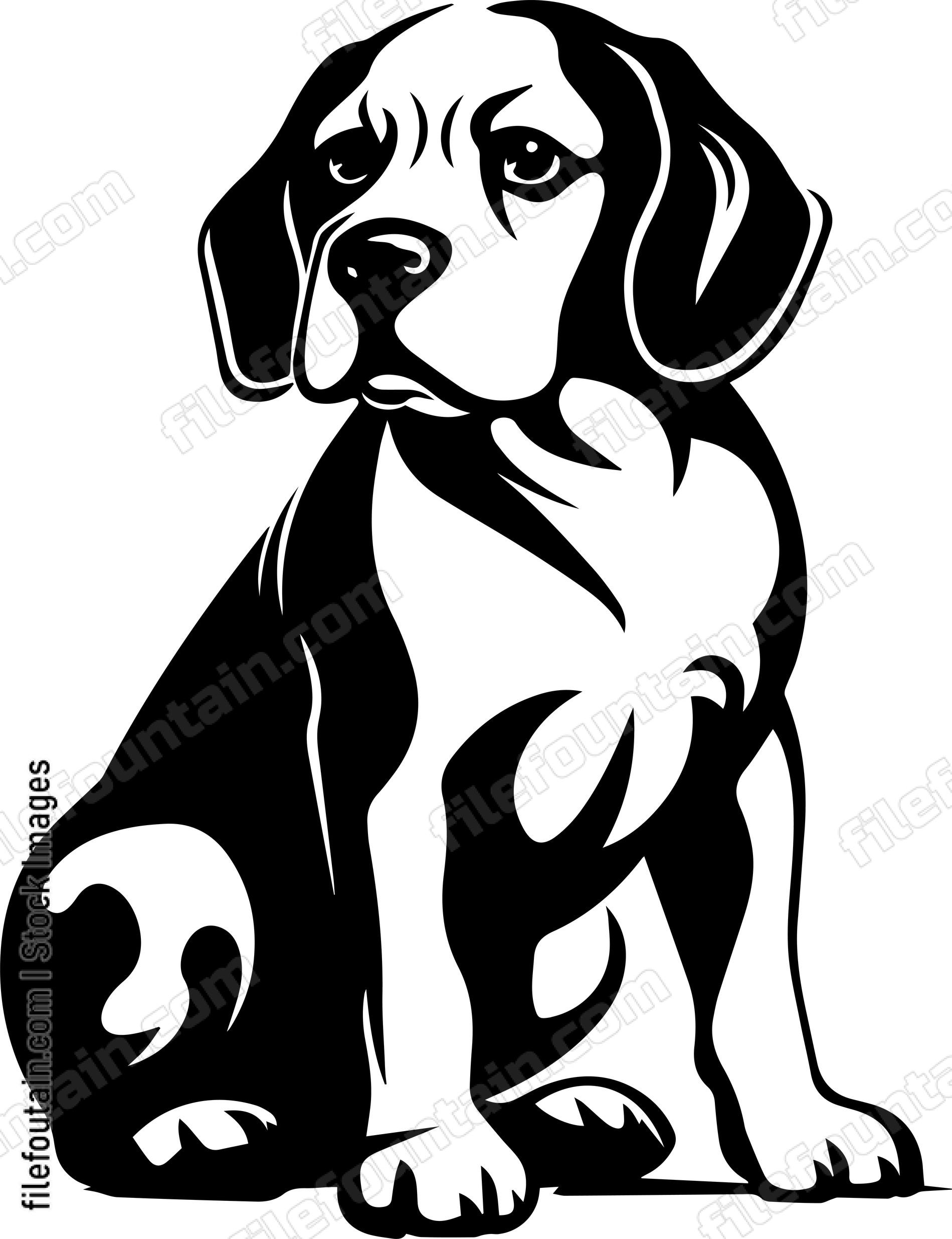 Beagle