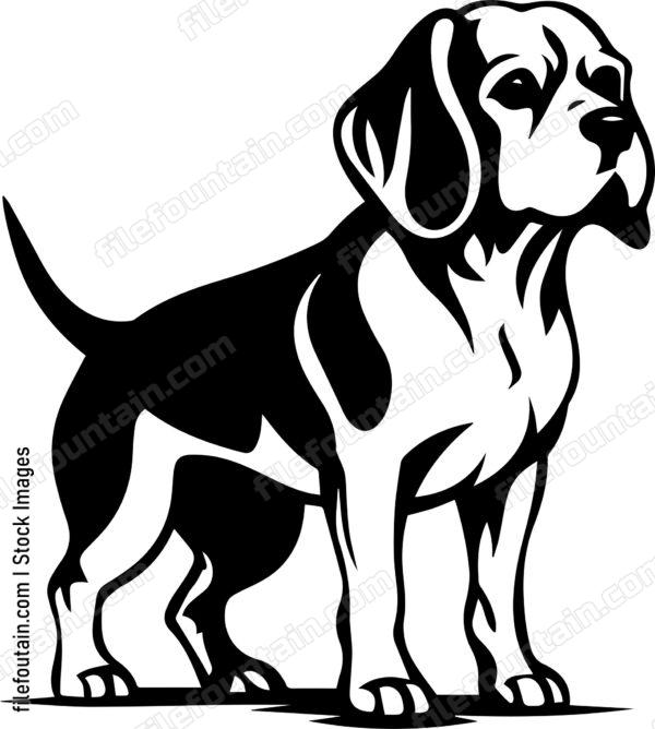 Beagle