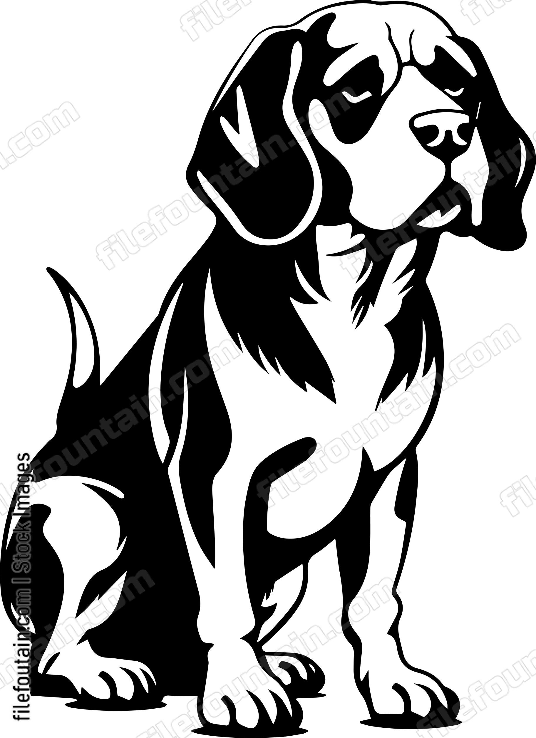 Beagle