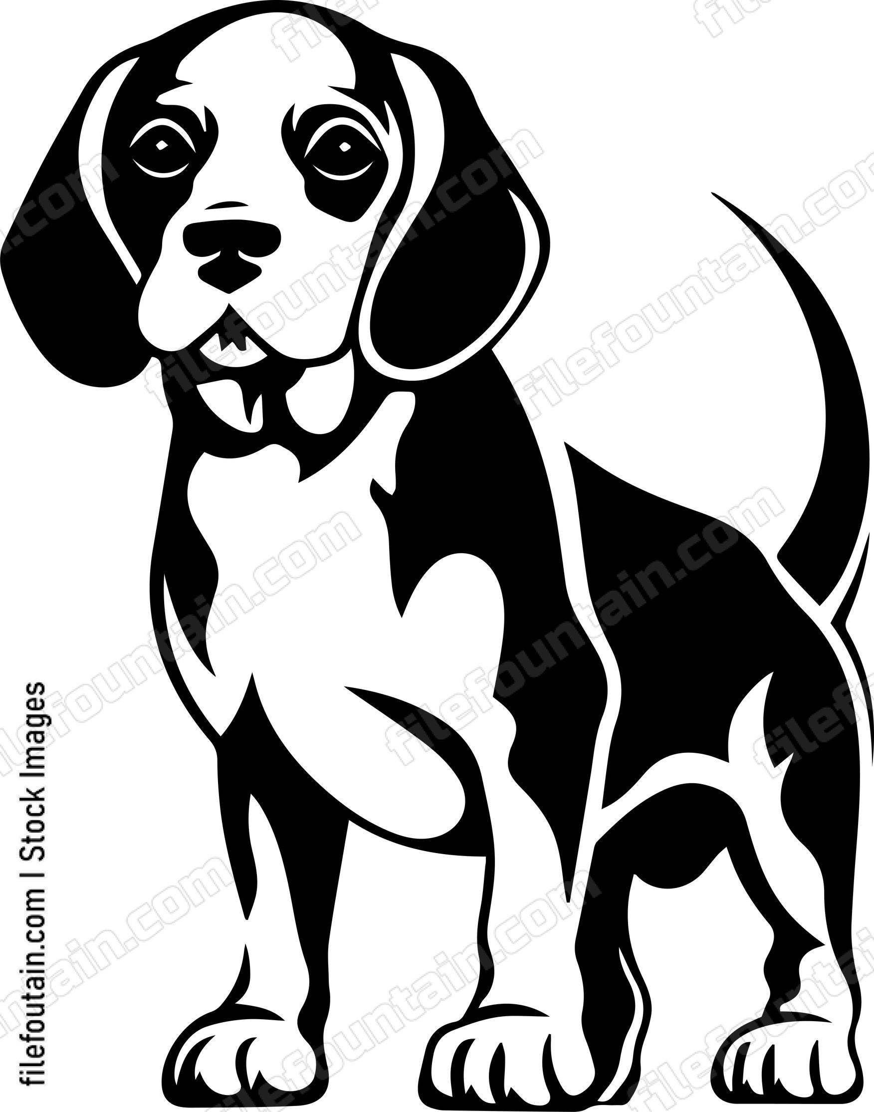 Beagle