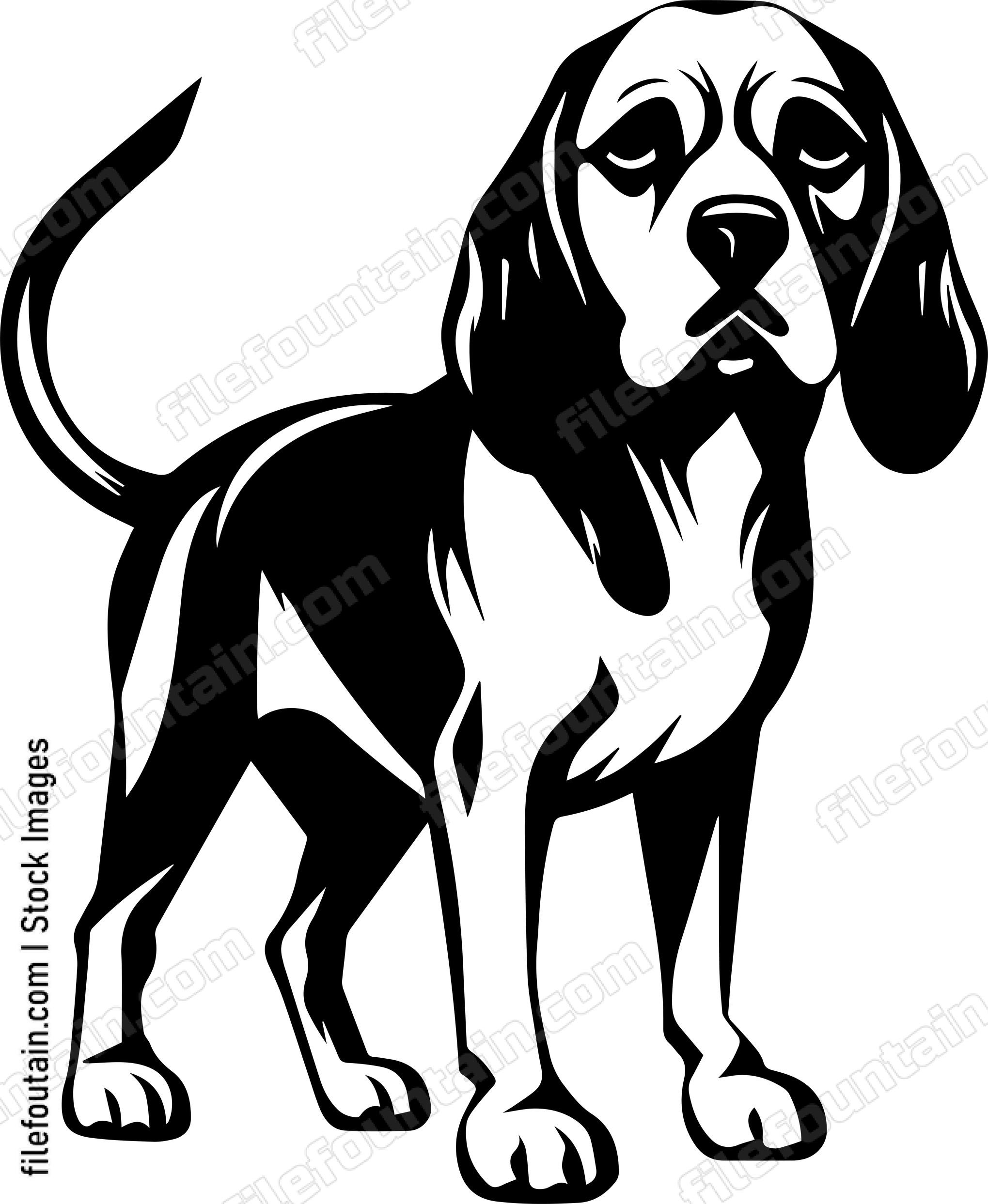 Beagle