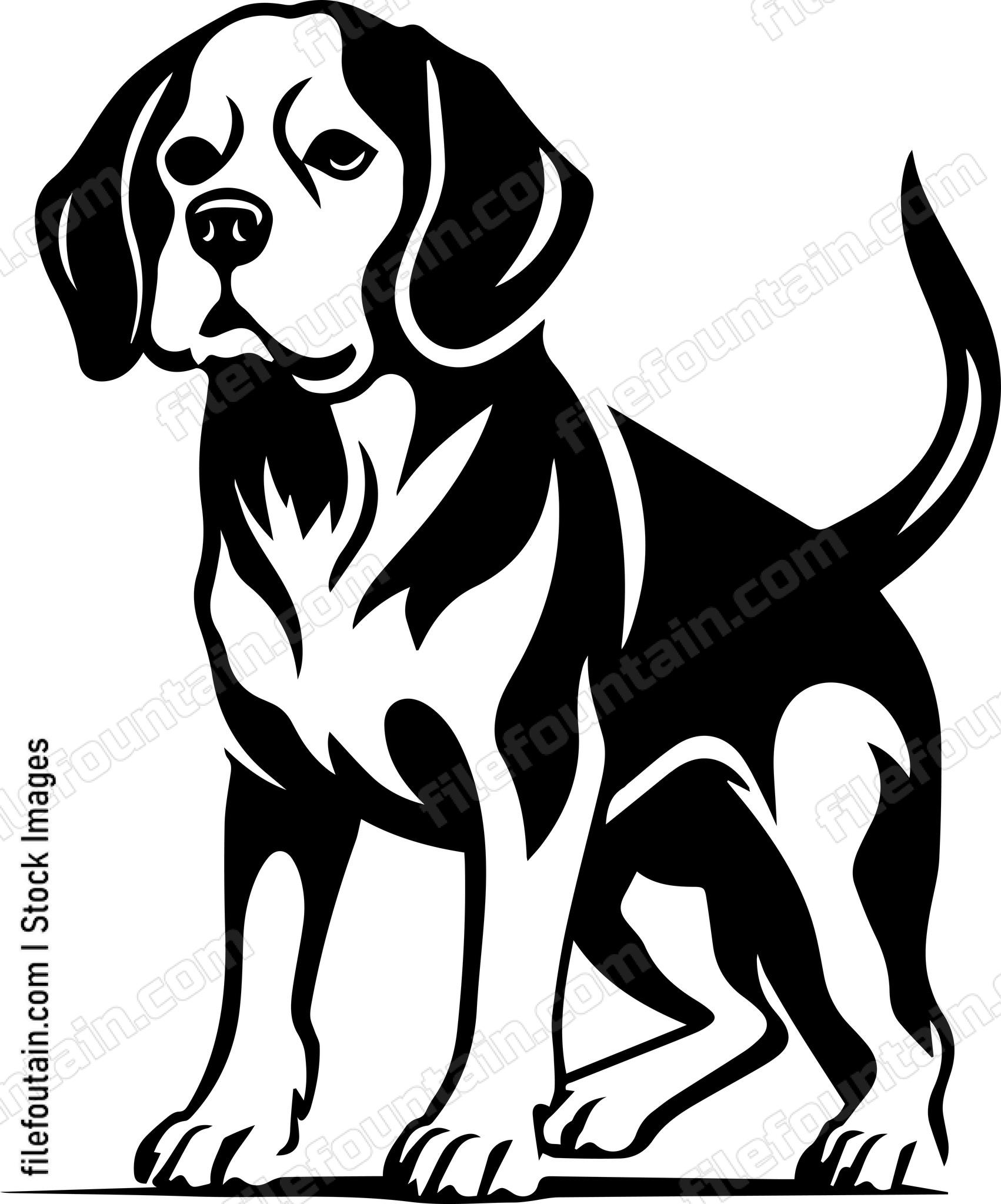 Beagle
