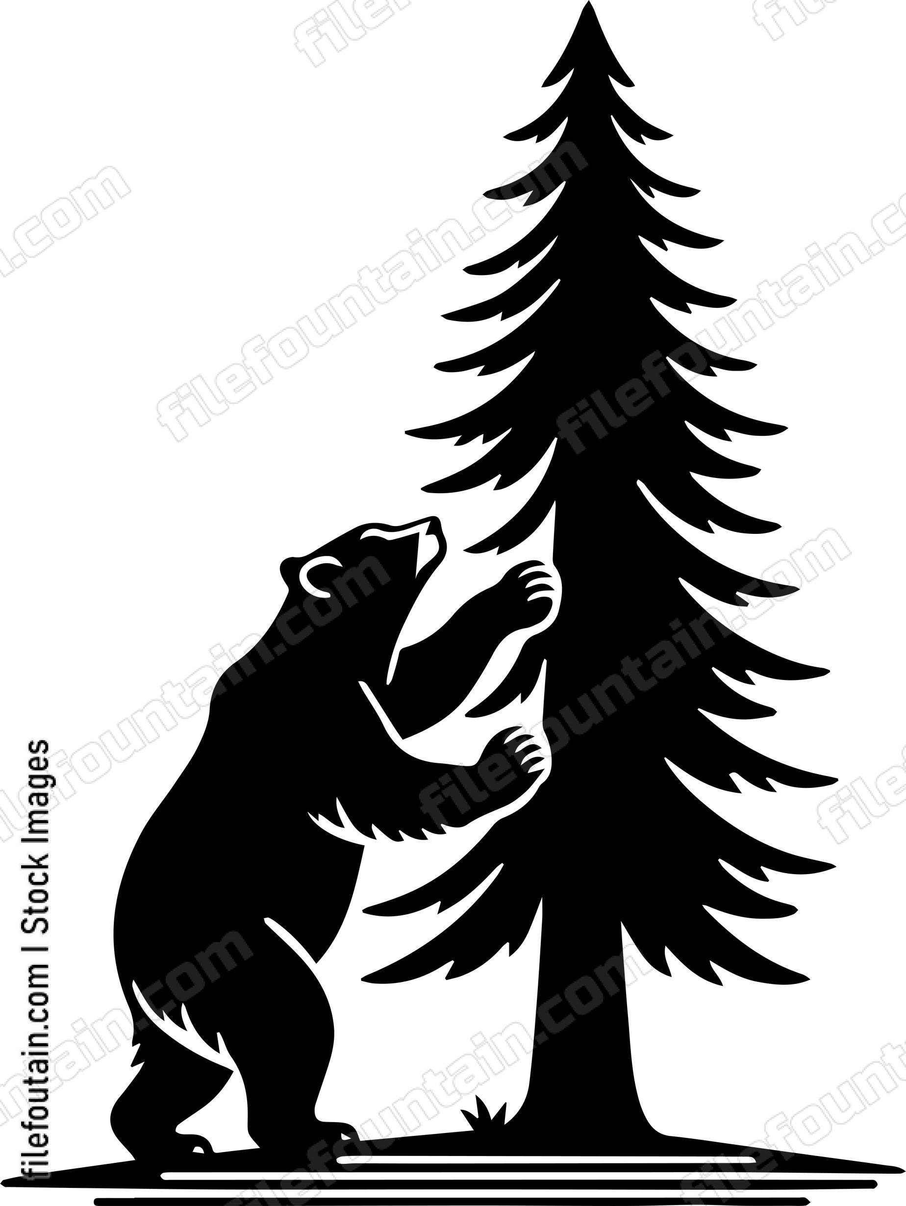 Bear Climbing a Tall Pine Tree