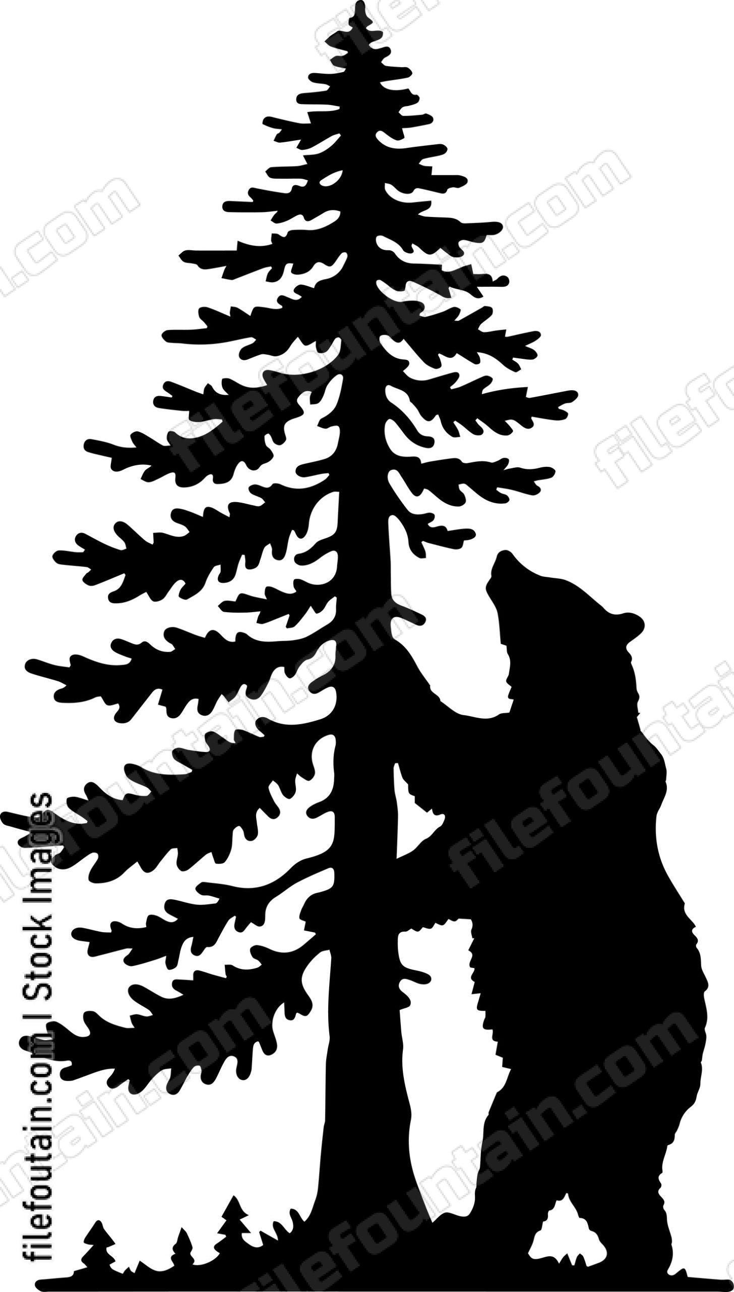 Bear Climbing a Tall Pine Tree