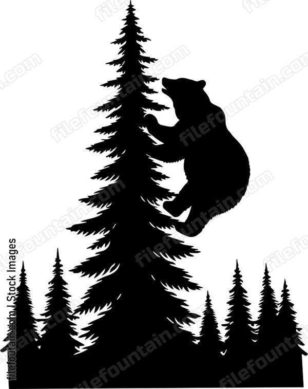 Bear Climbing a Tall Pine Tree