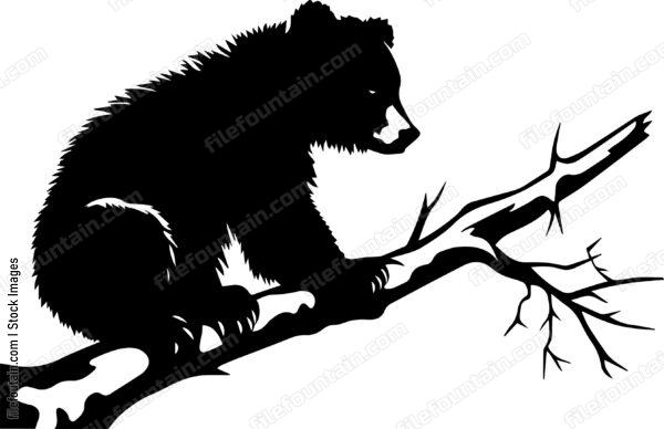 Bear Climbing A Tree Branch