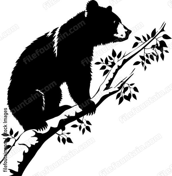 Bear Climbing A Tree Branch