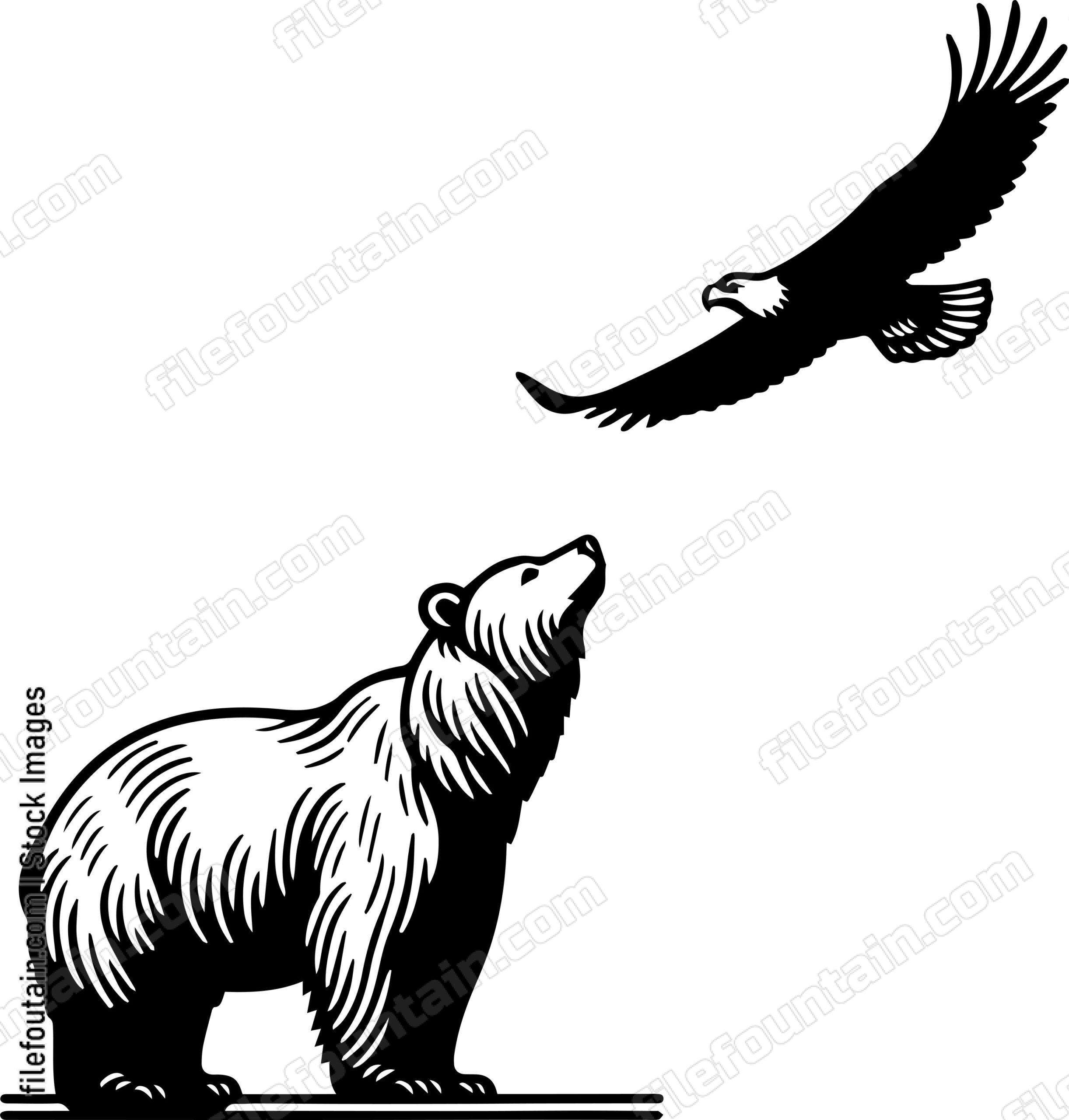 Bear Gazing Up at an Eagle