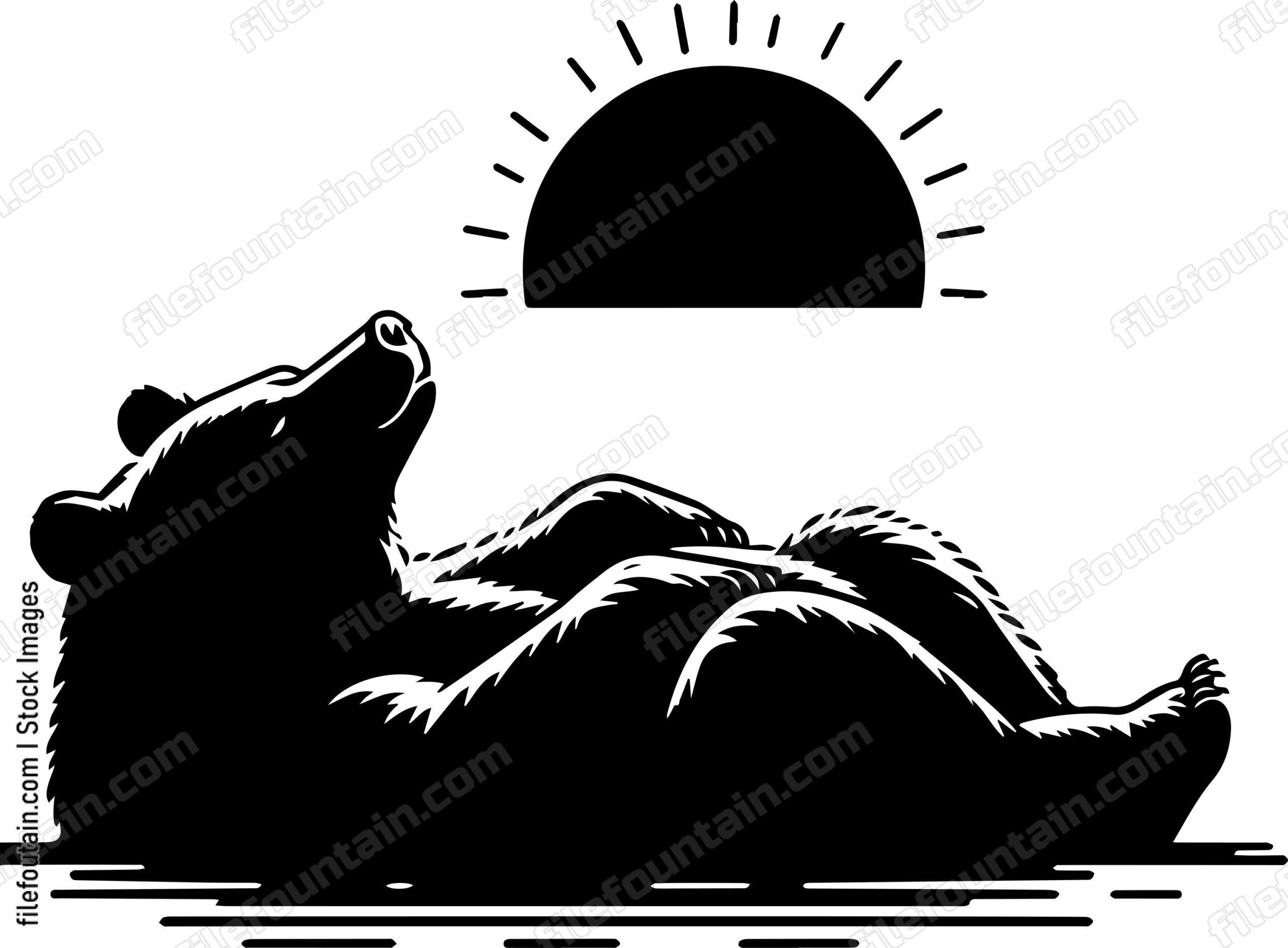 Bear Lazing in the Sun