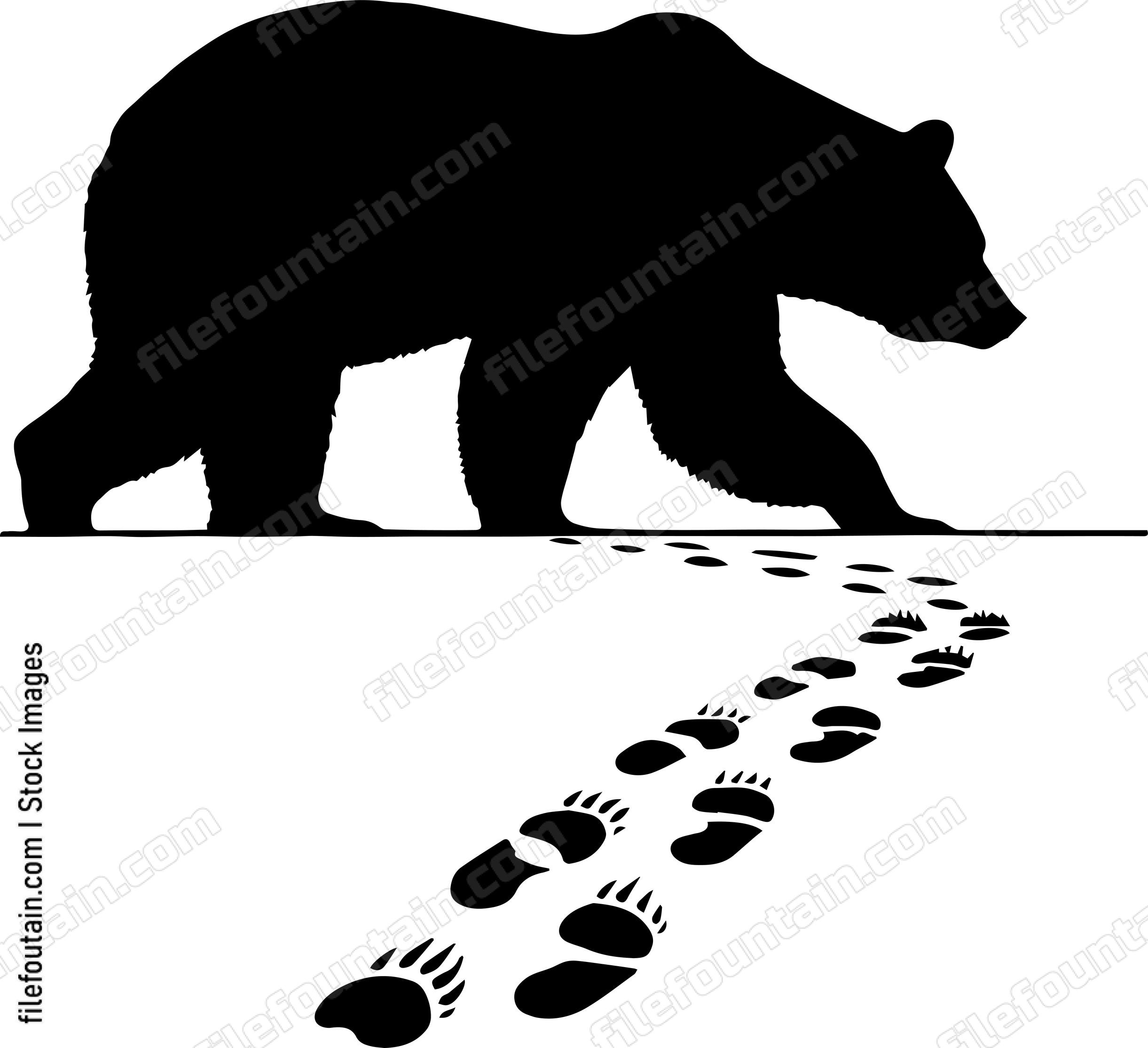 Bear Leaving Tracks in Fresh Snow