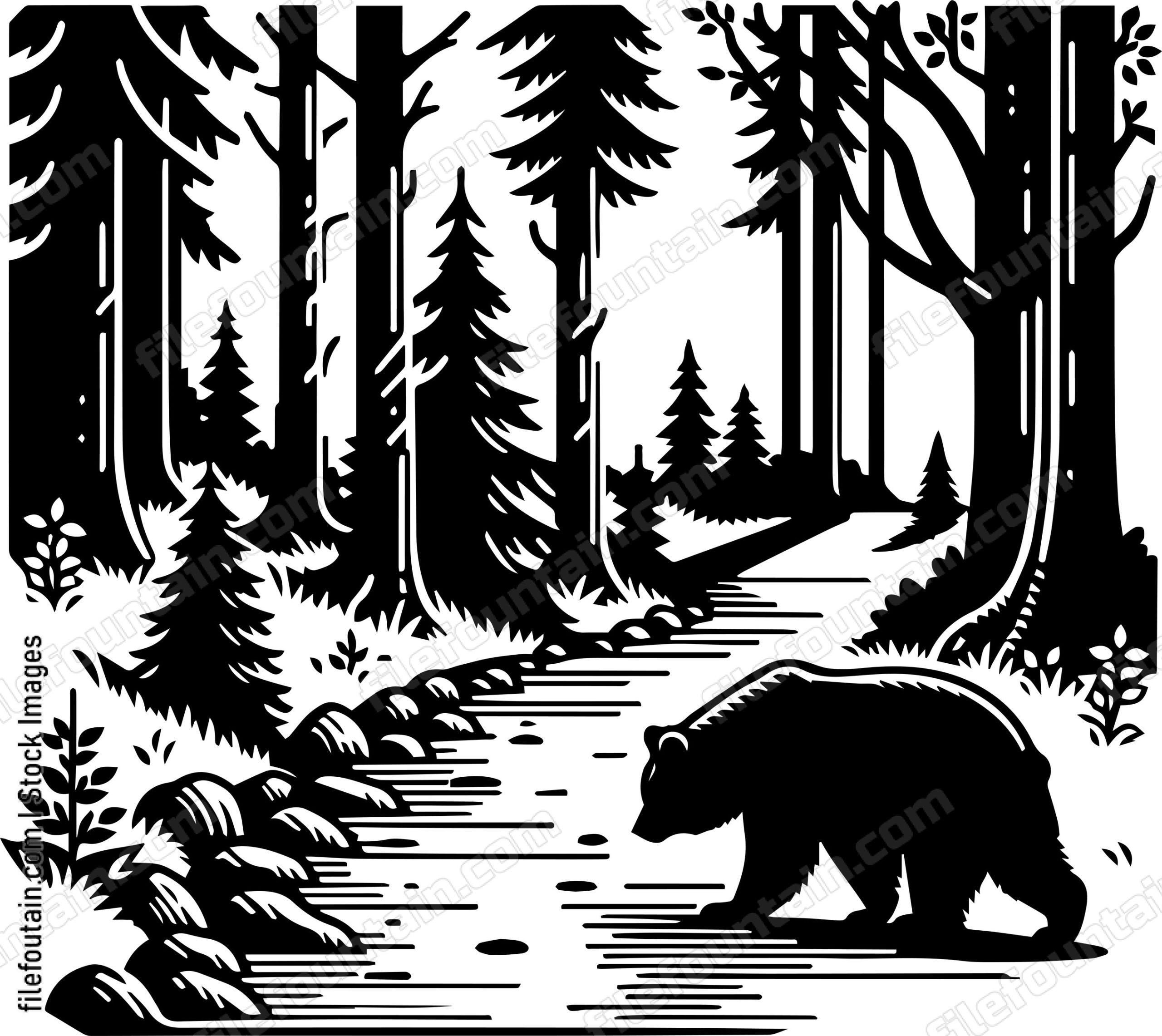 Bear Wandering Down a Forest Trail