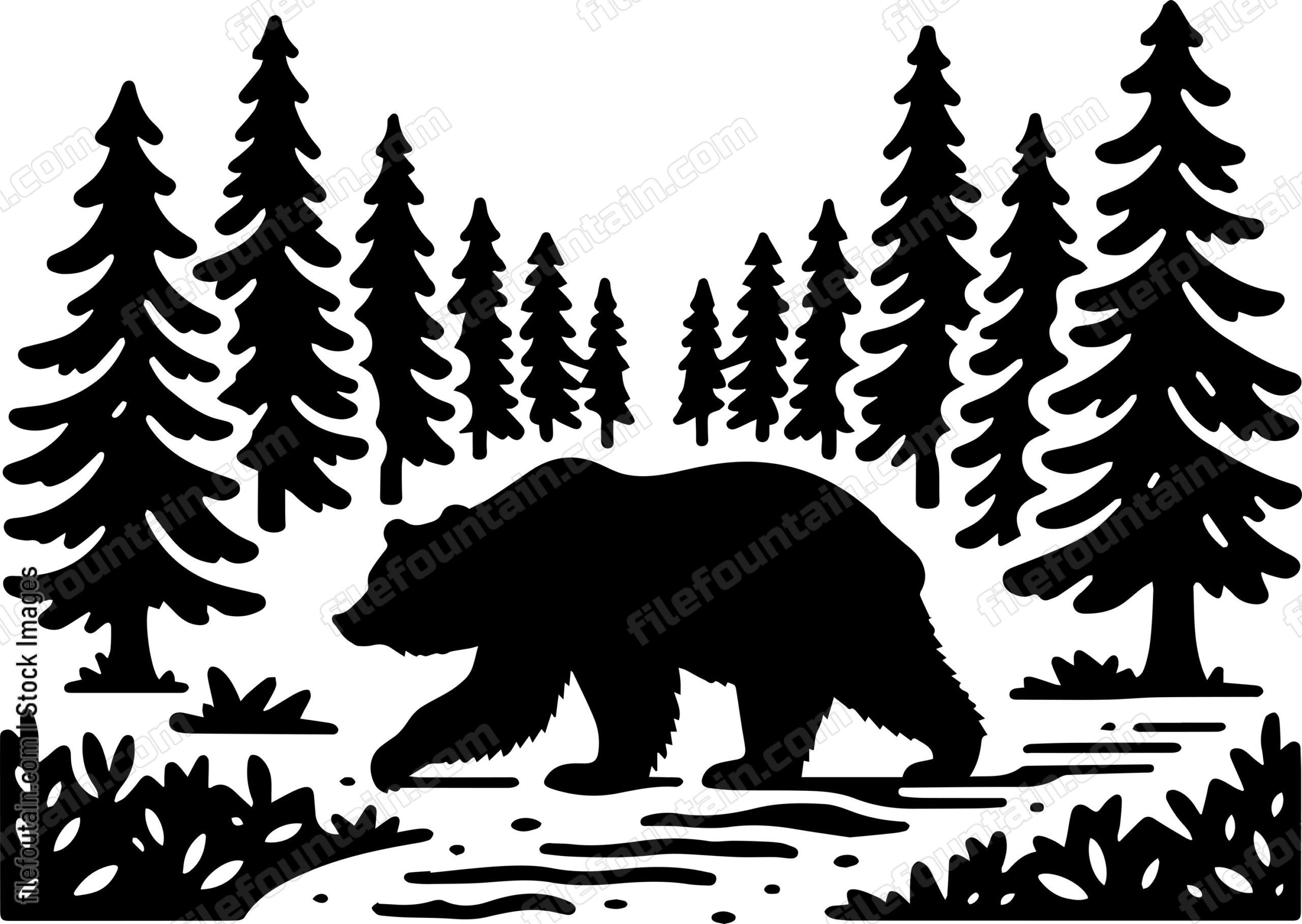 Bear Wandering Down a Forest Trail