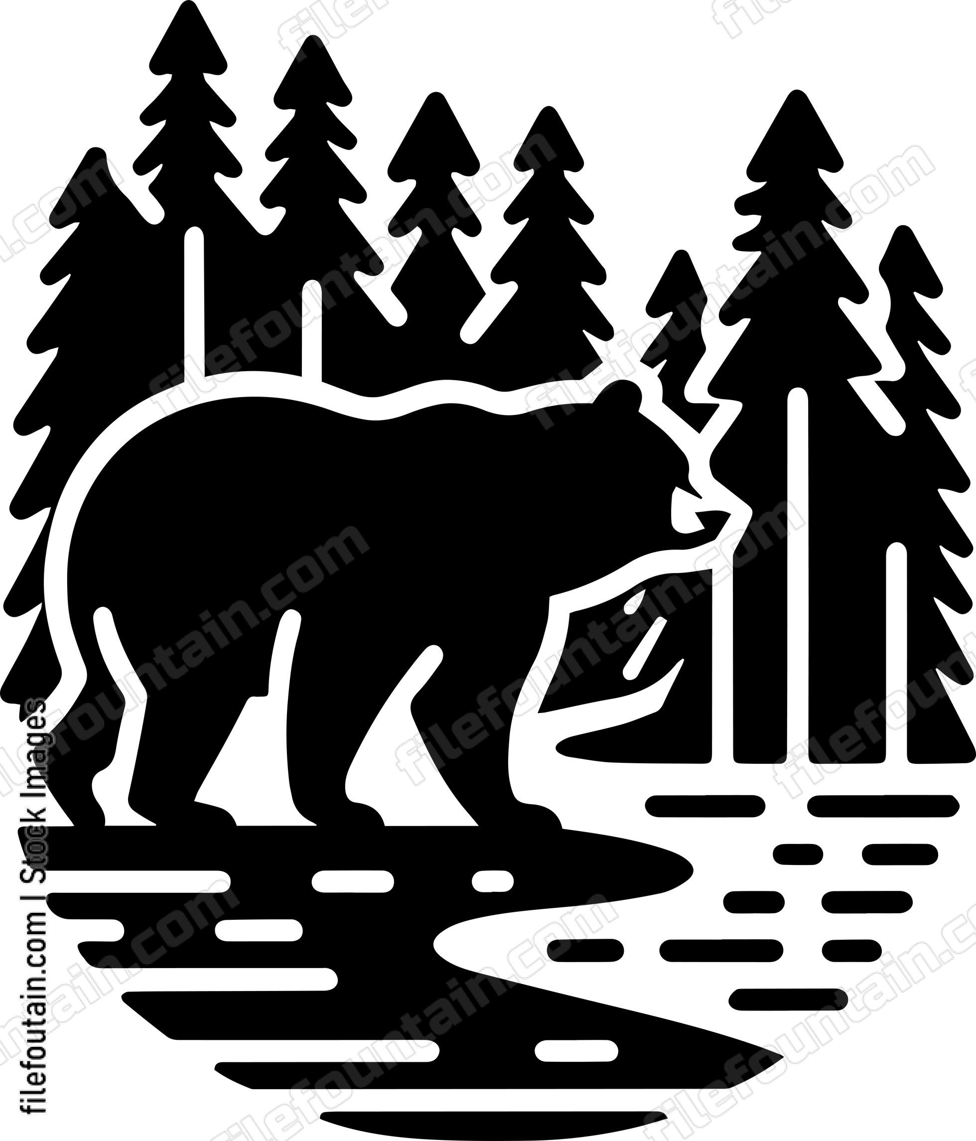 Bear Wandering Down a Forest Trail