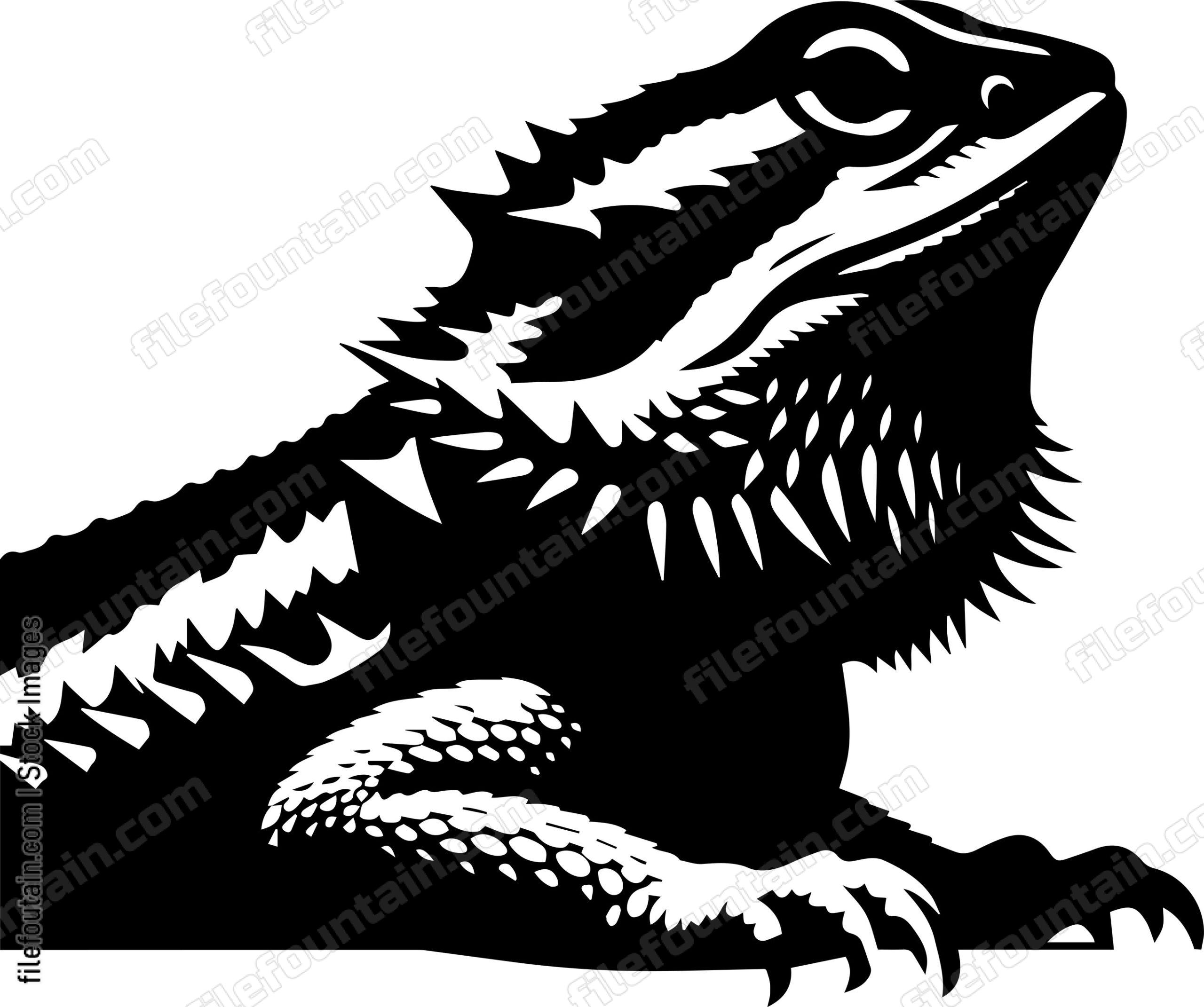 Bearded Dragon