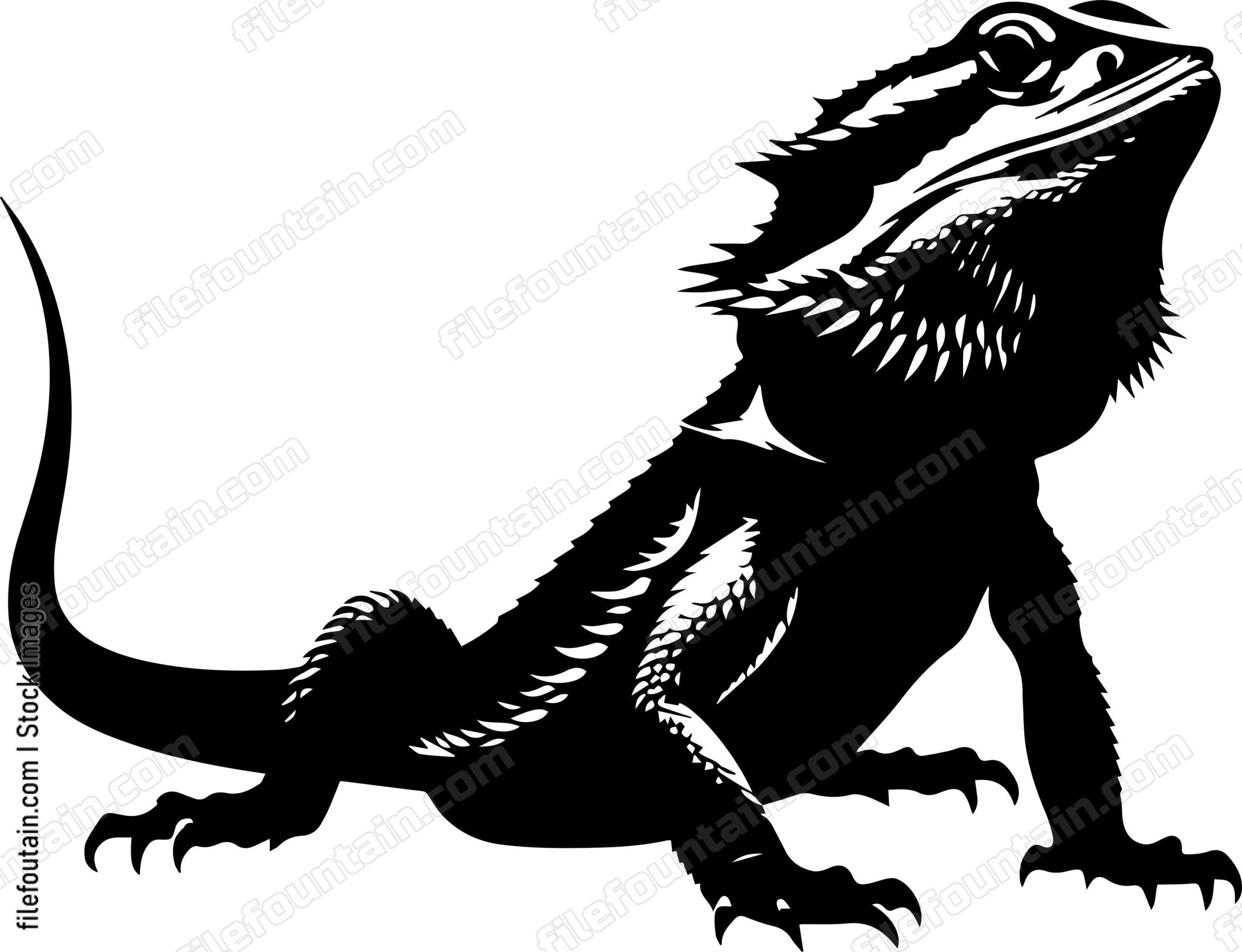 Bearded Dragon
