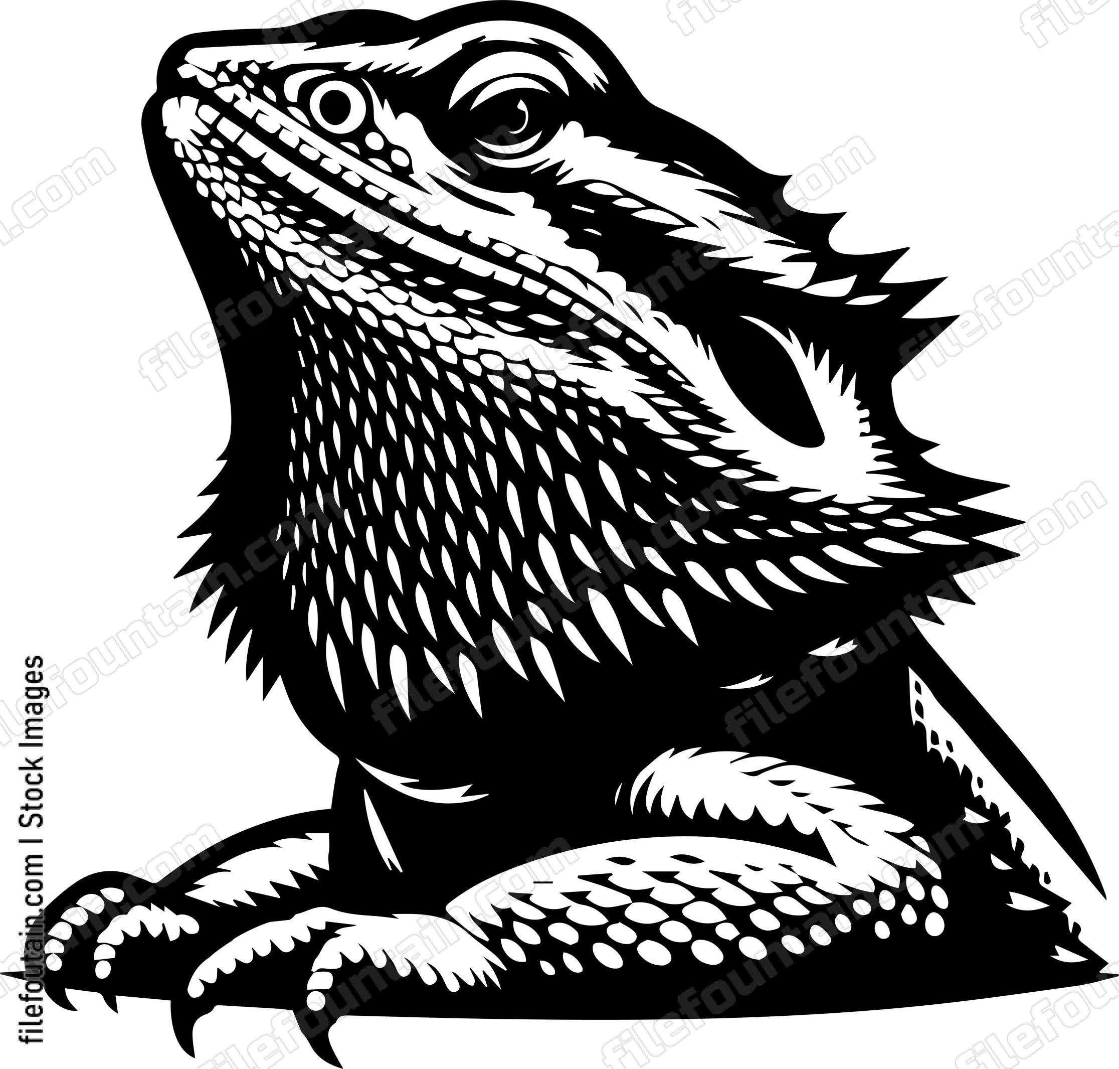 Bearded Dragon