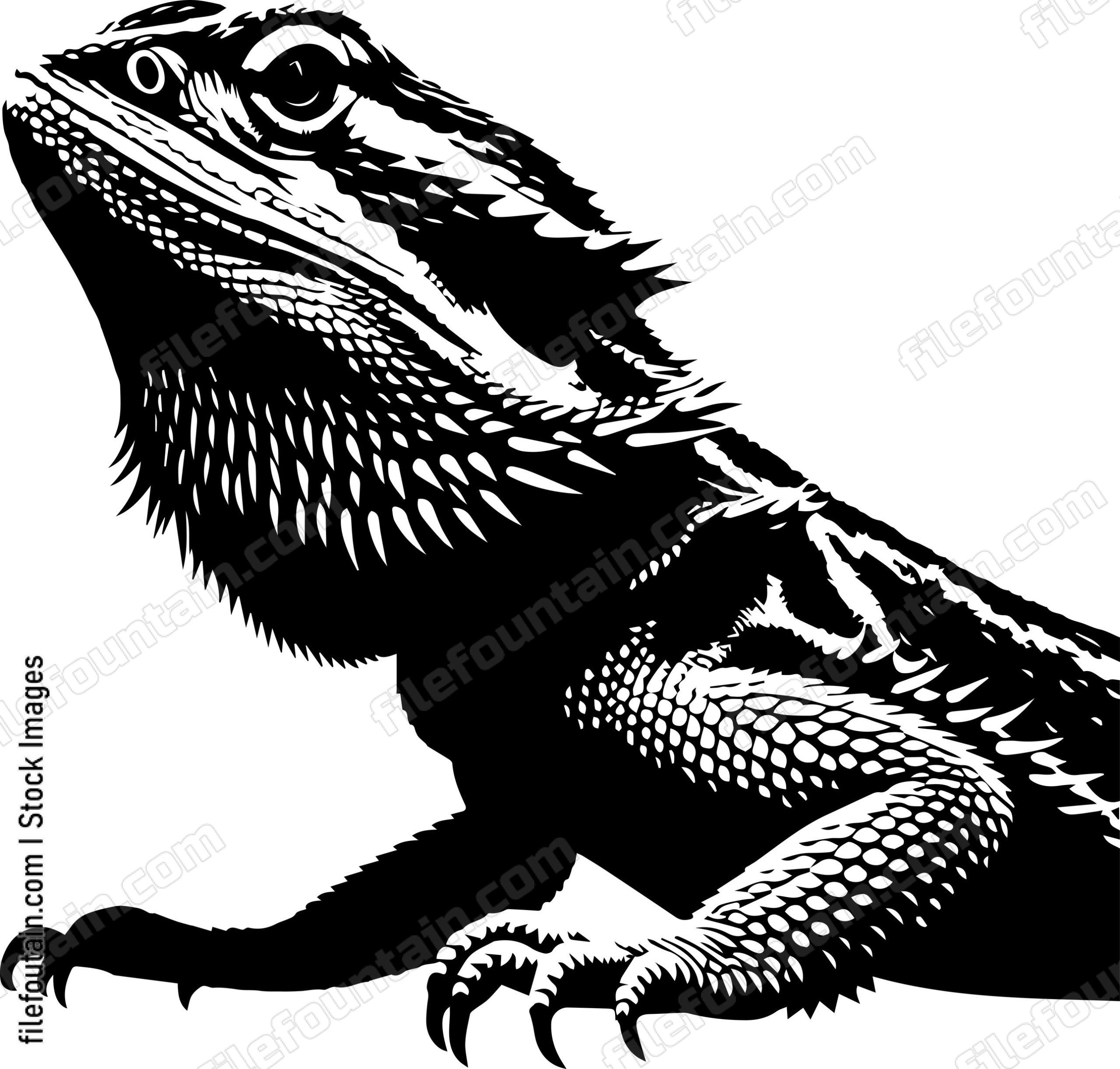Bearded Dragon