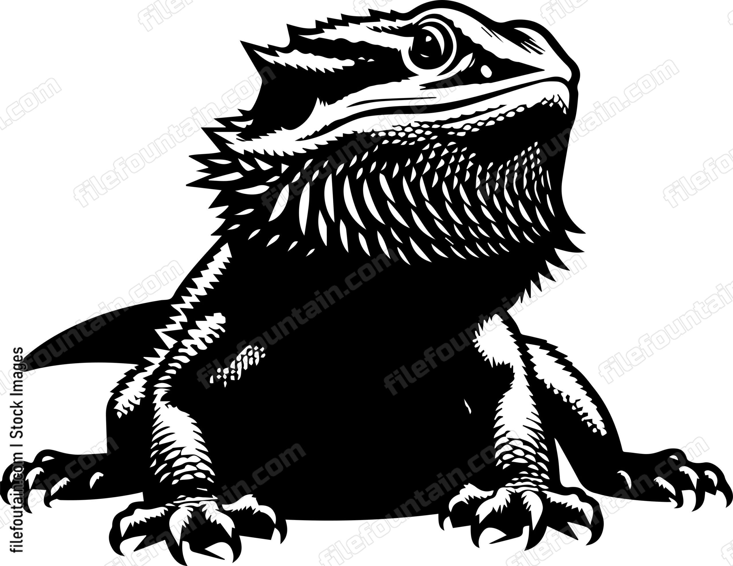 Bearded Dragon