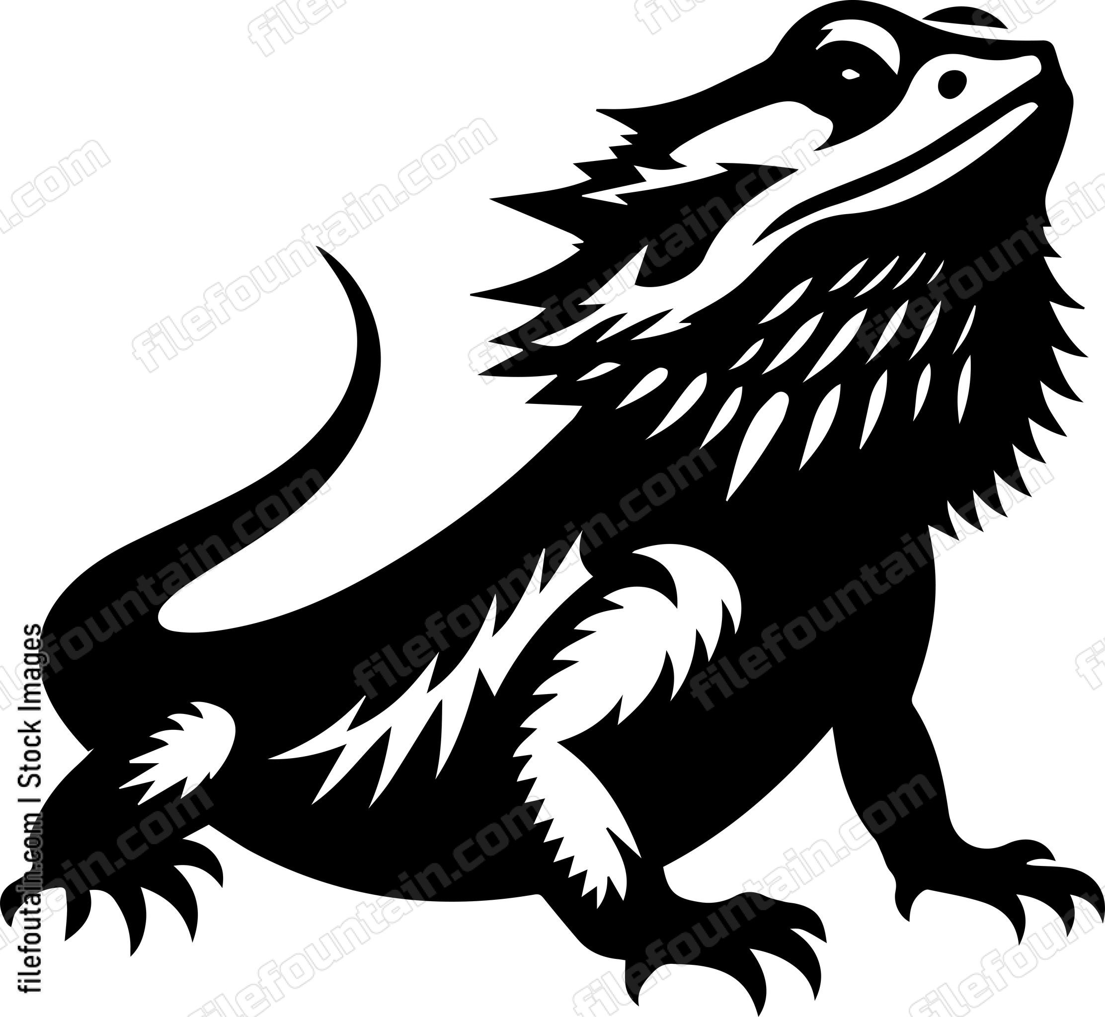 Bearded Dragon