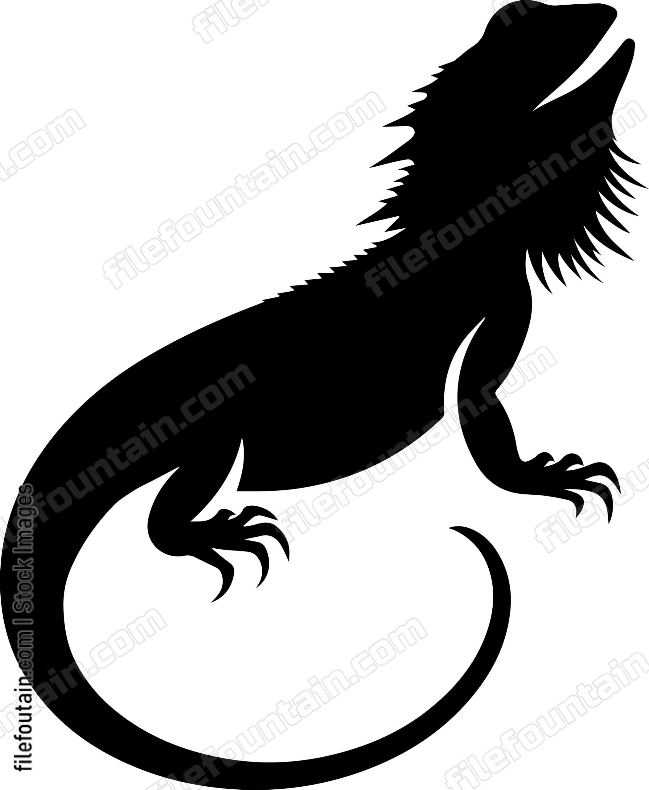 Bearded Dragon