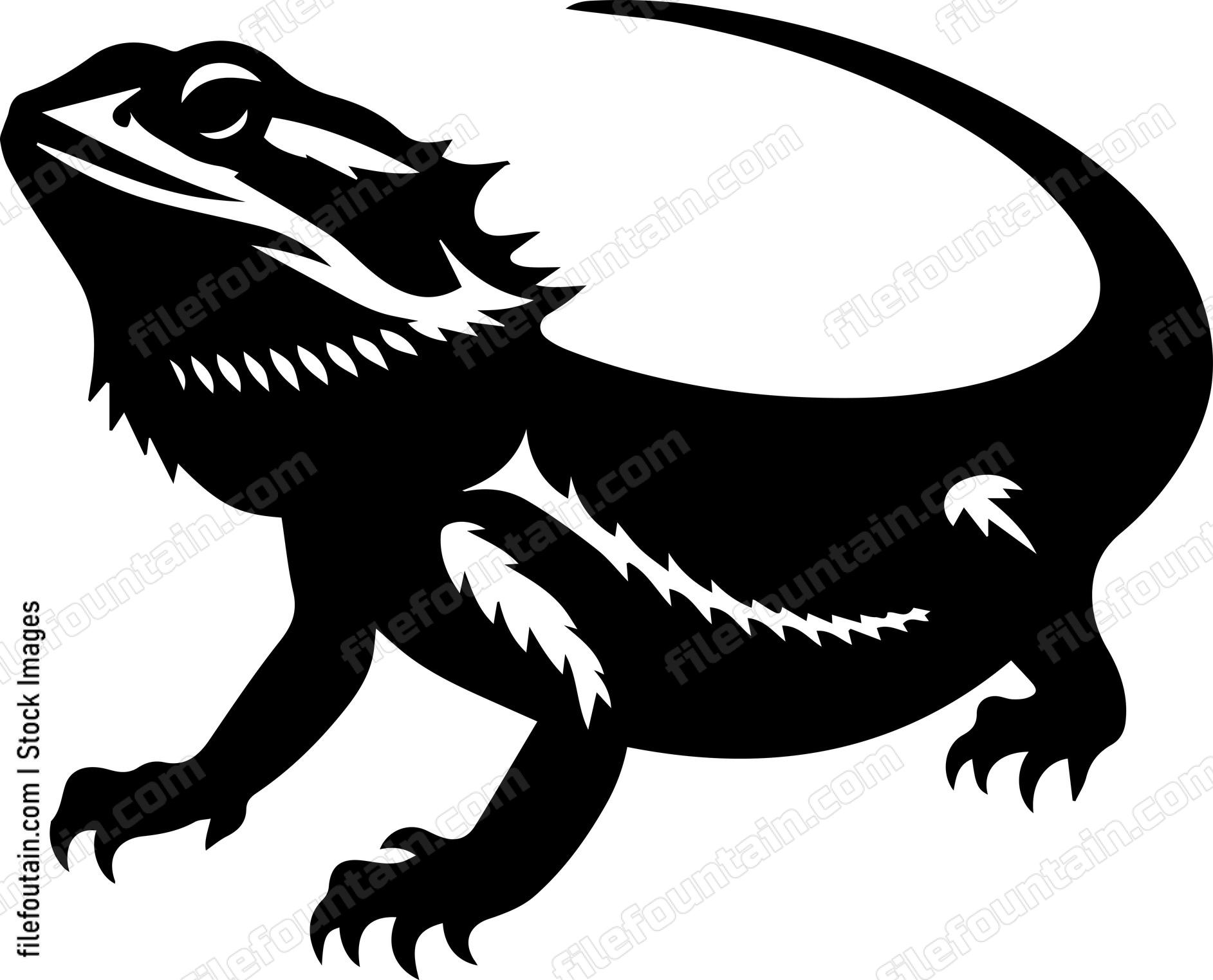 Bearded Dragon
