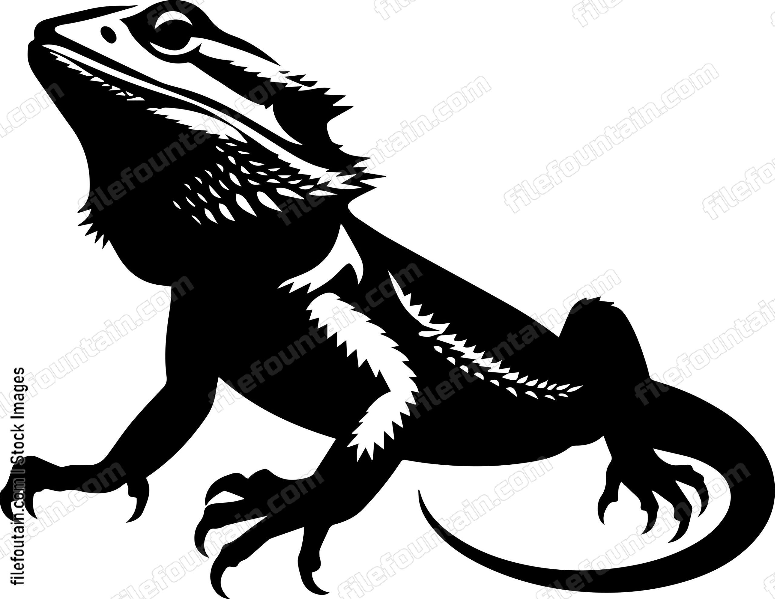 Bearded Dragon