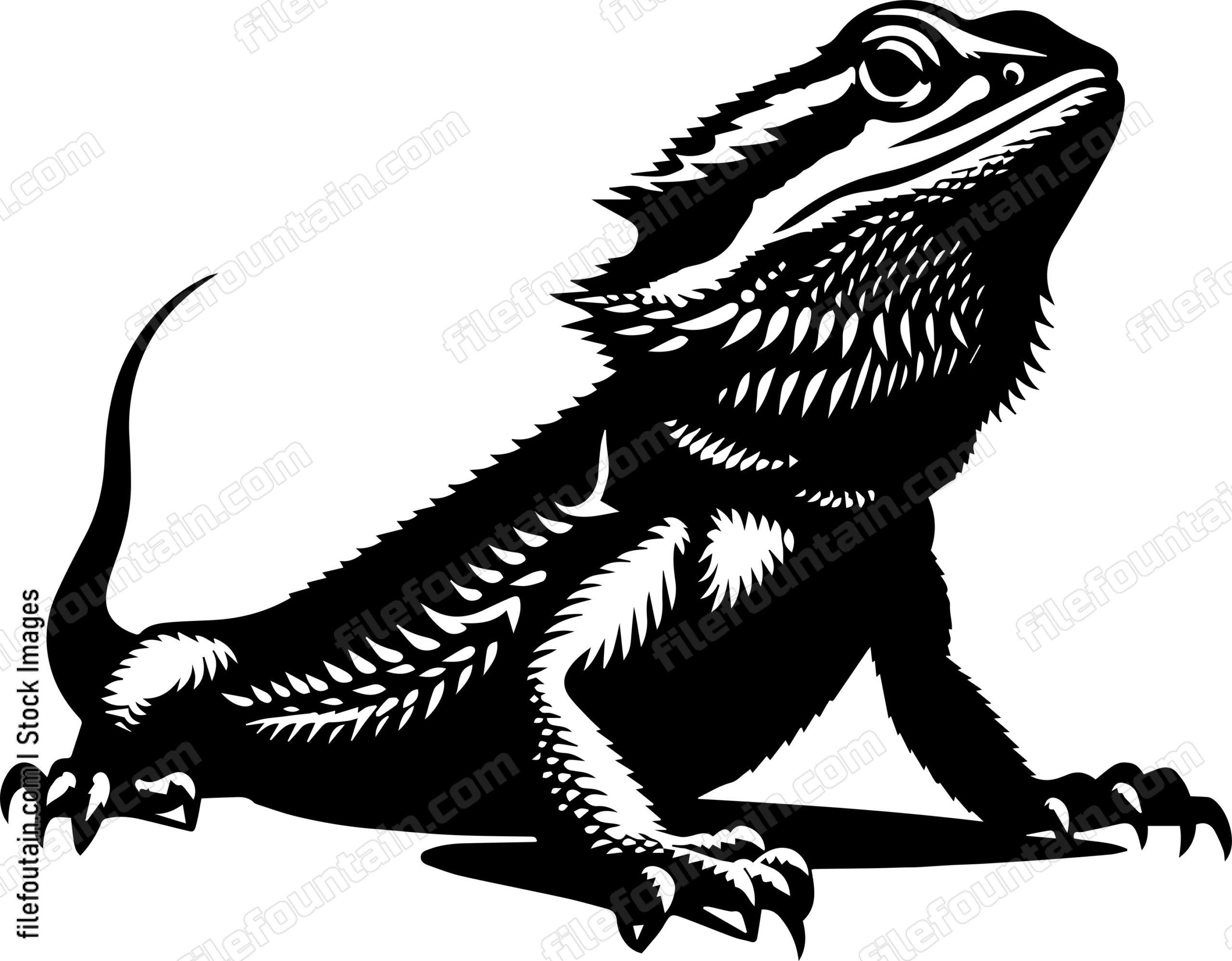 Bearded Dragon