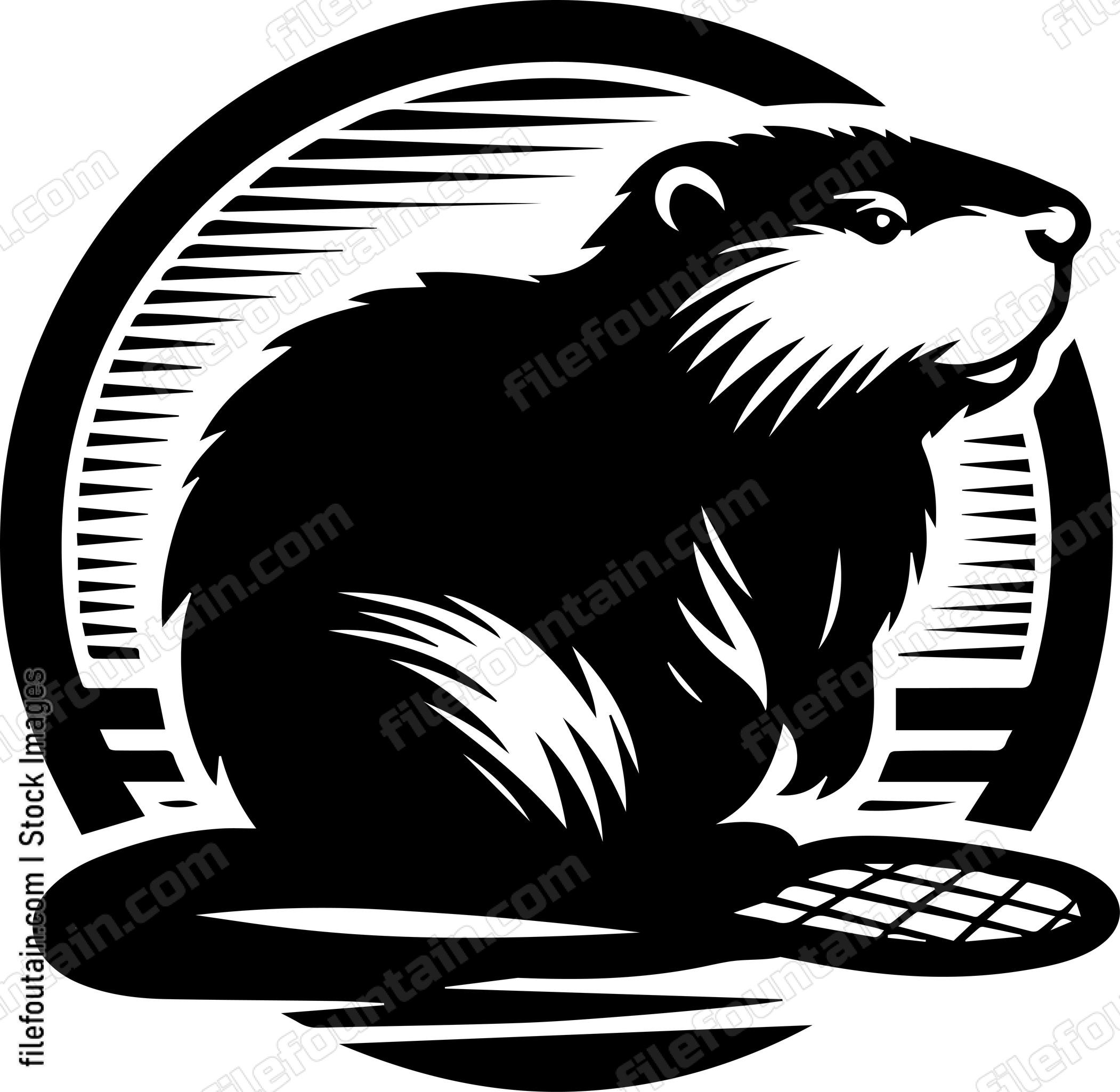 Beaver