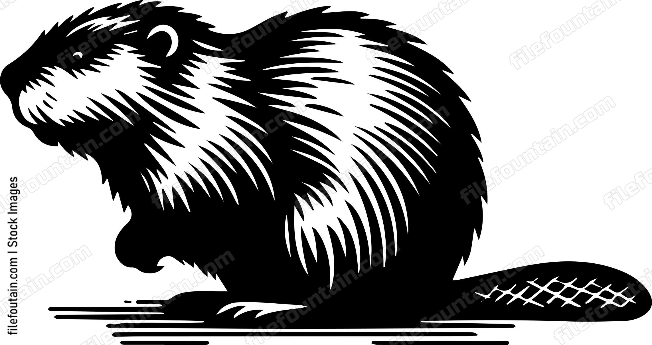 Beaver