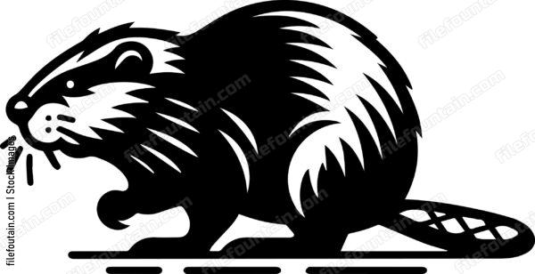 Beaver
